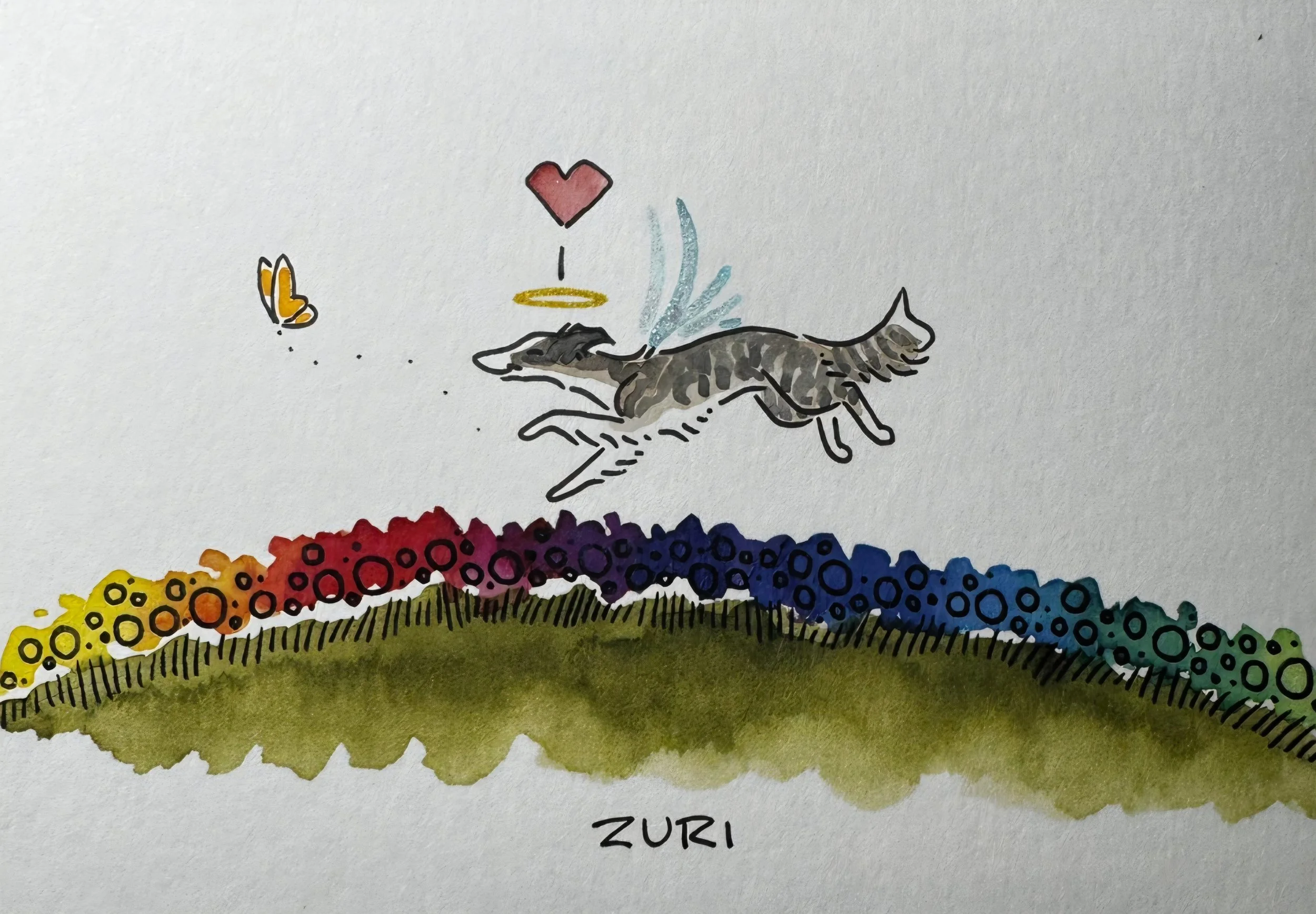 Colorful drawing of a gray and black striped dog lying down with a yellow halo above its head and a red heart above it. A yellow and orange butterfly flies nearby, and a rainbow-colored rainbow is at the bottom of the image. The word 'ZURI' is written below.