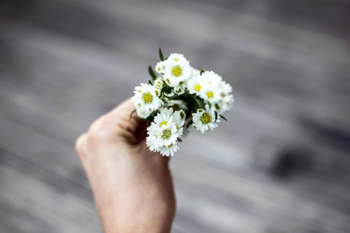 Zero Waste: how we each can make a difference!
