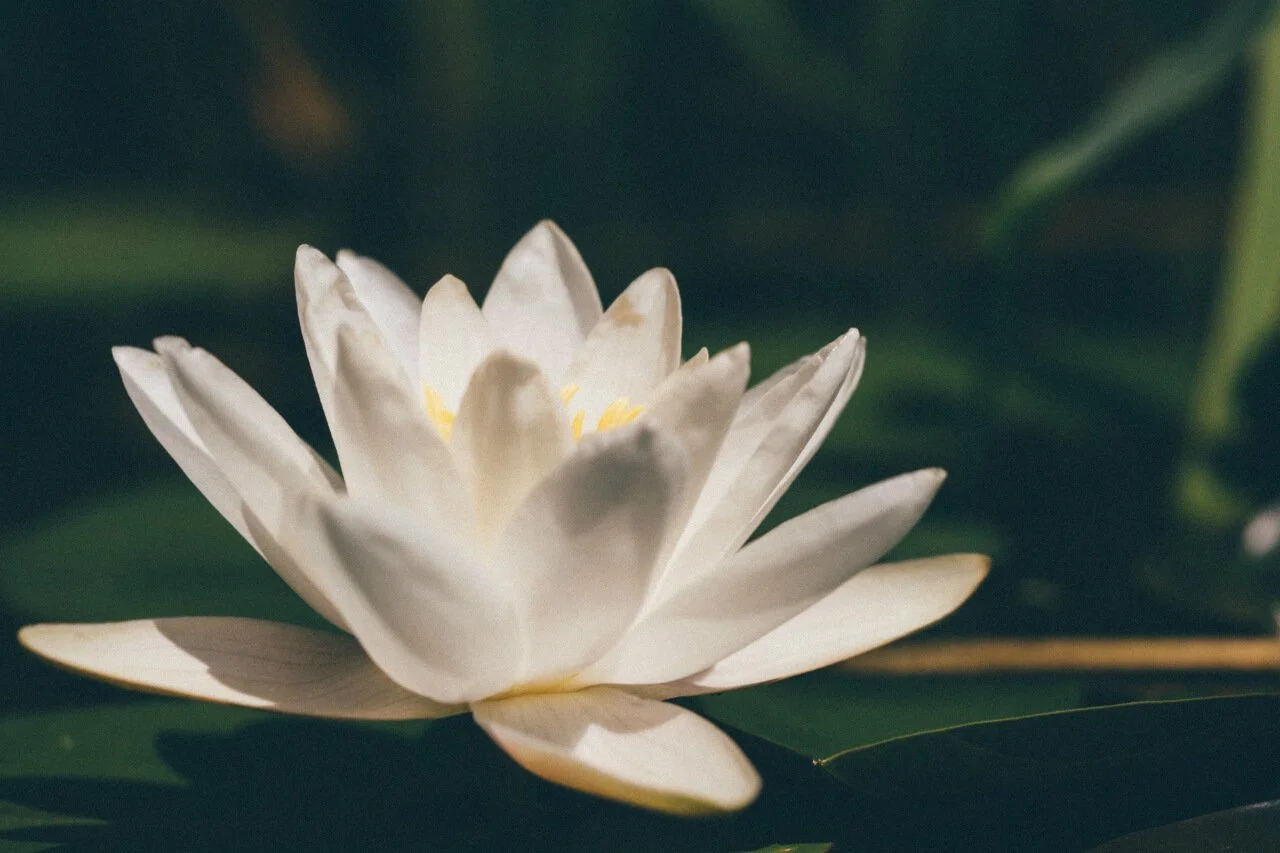 Self-compassion