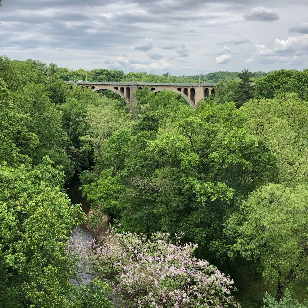 Stone viaduct with arched supports crossing over a wooded valley