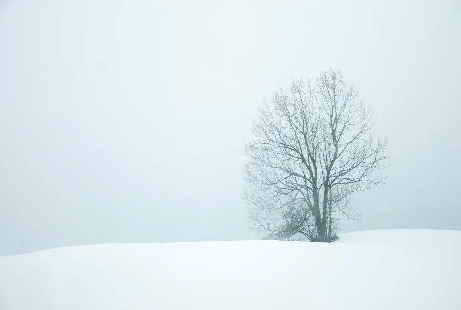 When peace descends