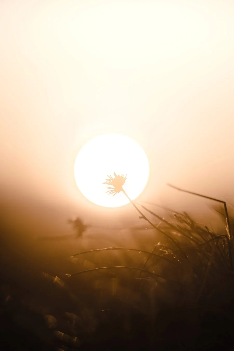 The Long Time Sun