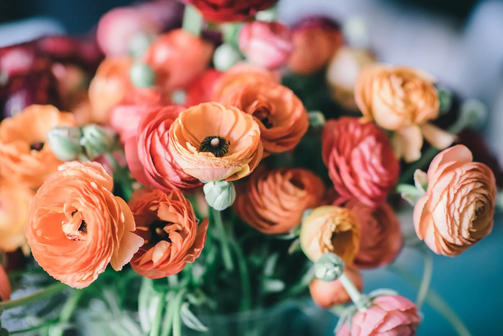Bouquet With Orange And Red Ranunculus