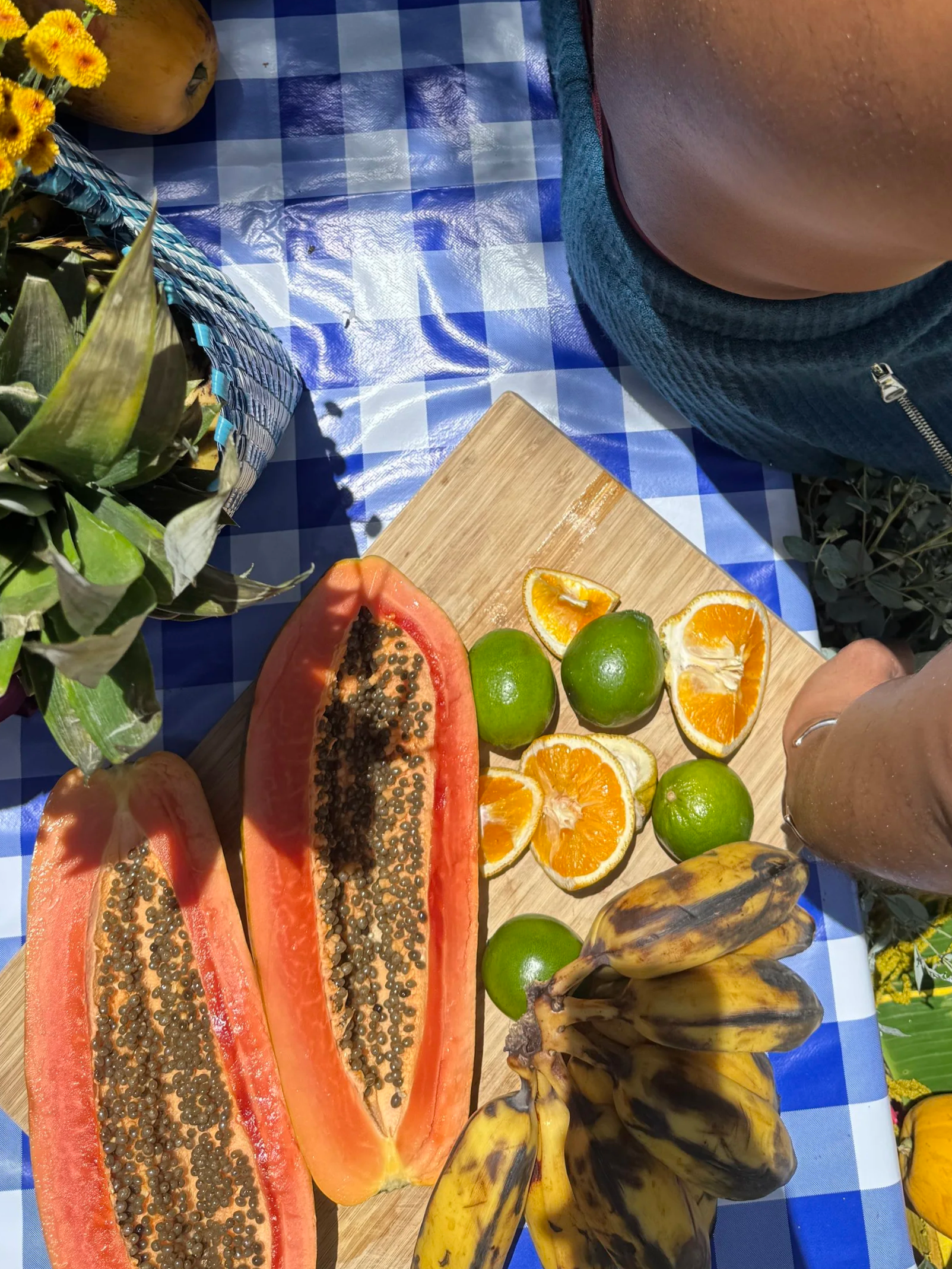 Close-up of a cutting board with sliced oranges, whole limes, a papaya, and a banana bunch on a blue and white checkered tablecloth, with flowers and a ceramic pot visible in the background.