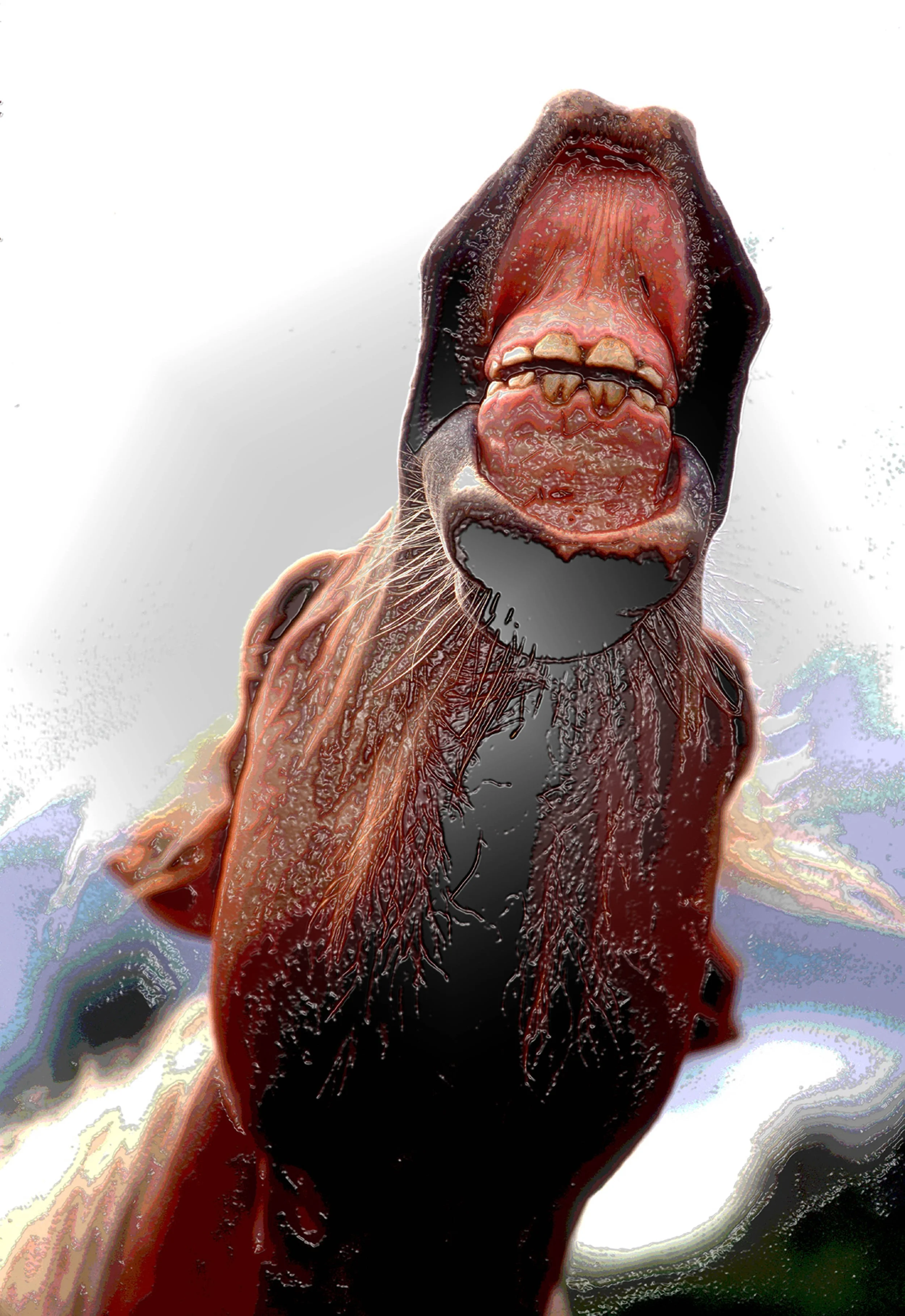 A Horse of Course copy.jpg