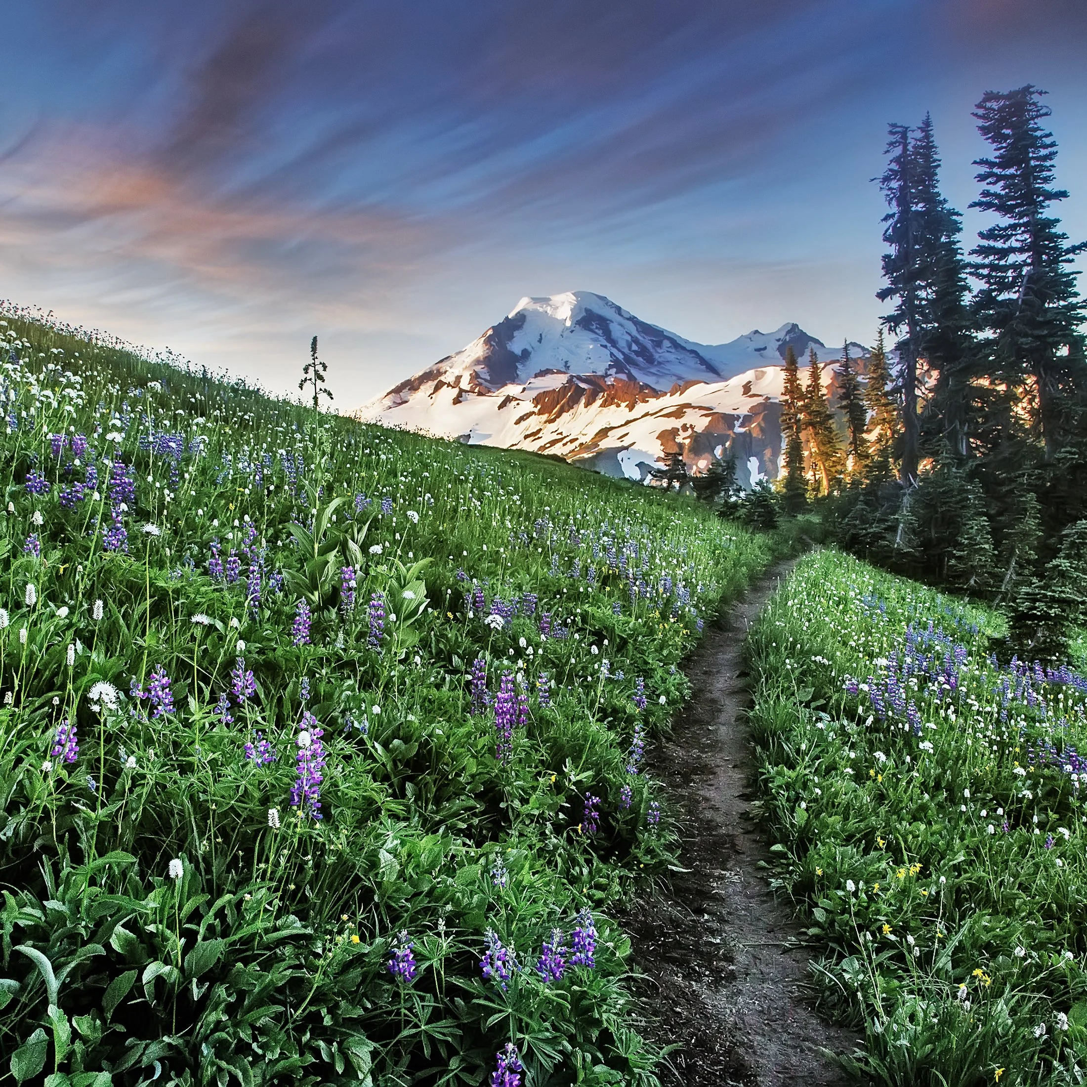 Mt Baker Skyline Divide square.jpg