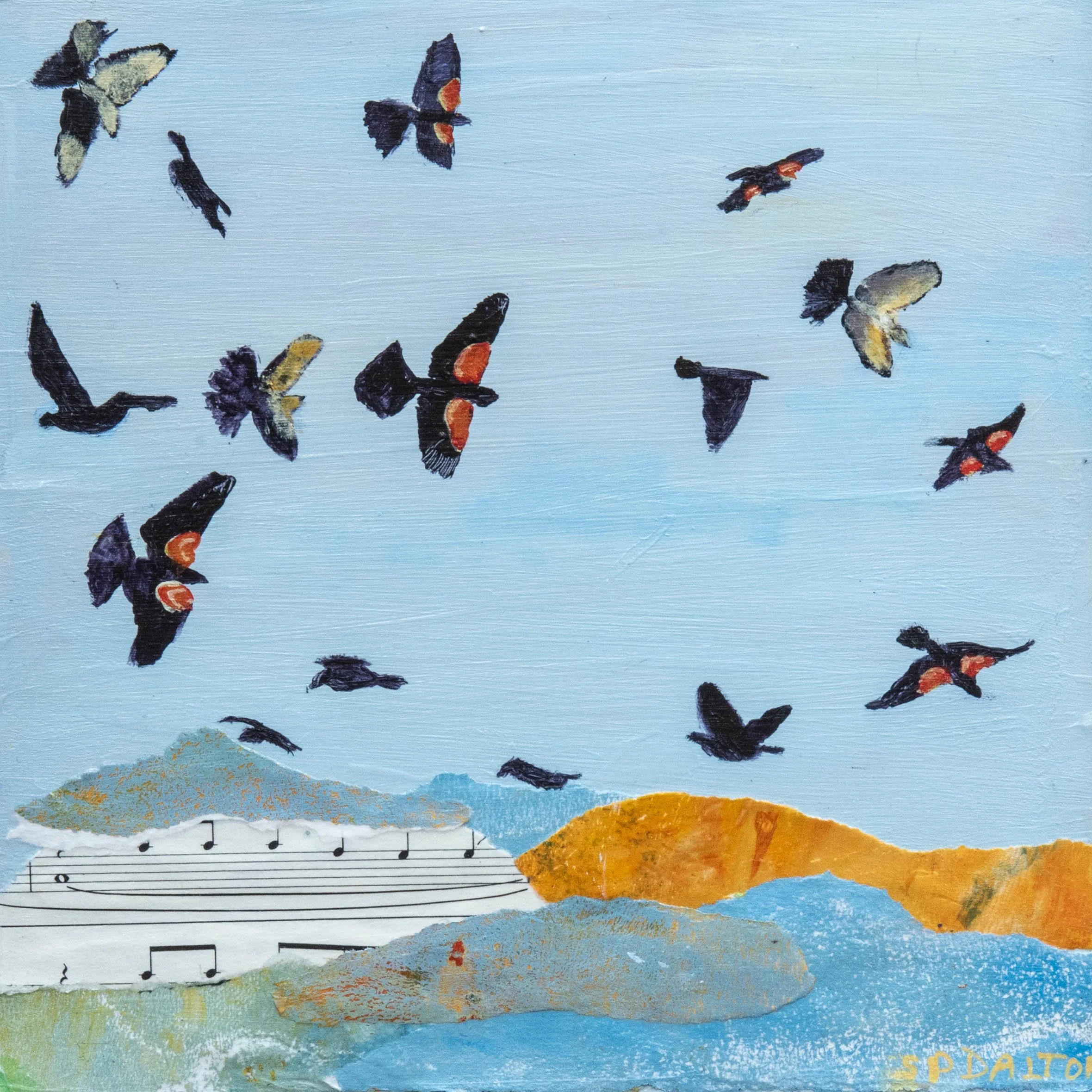 Blackbird Murmuration2.jpg