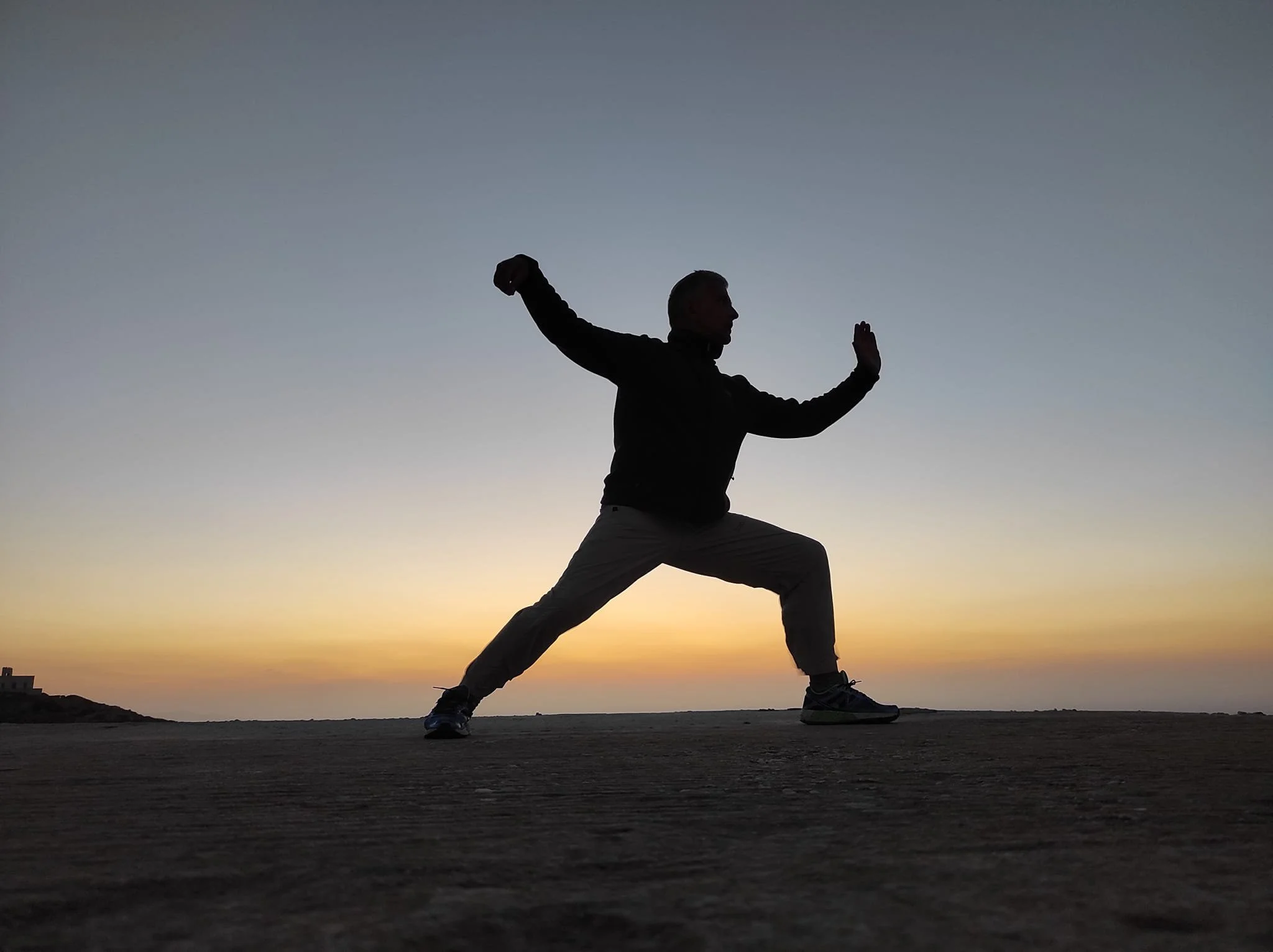 Tai Chi // Kids - Adults Aris Pavlos