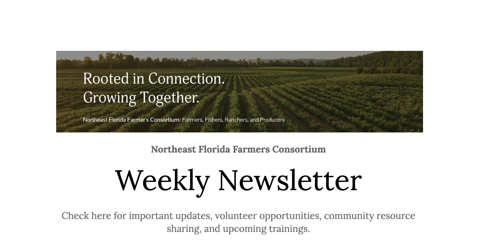 Screenshot 2025-08-26 at 11.47.12 AM.png