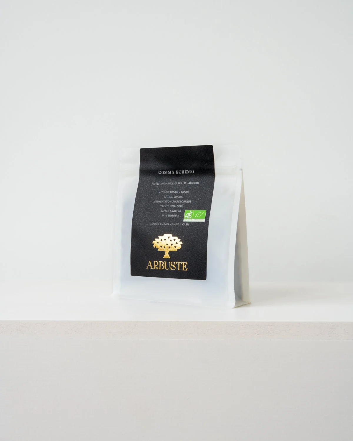 Gomma Echemo - Ethiopie - Arbuste