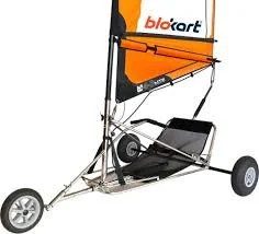 A  blokart with a canopy and two large wheels, landsailer