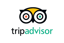 TripAdvisor logo featuring an owl with large eyes