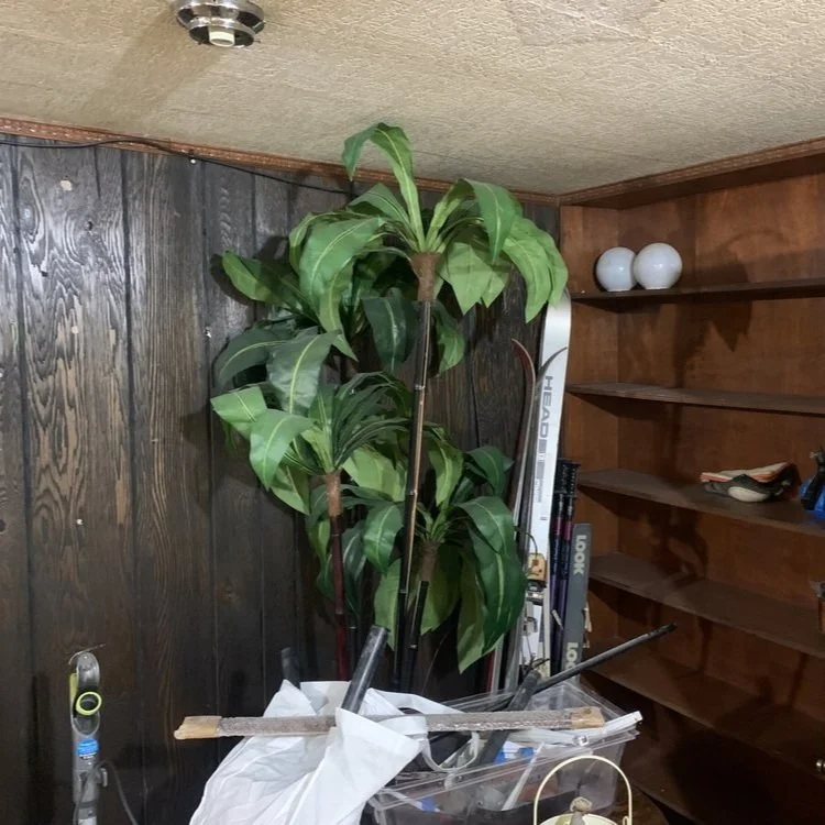 Basement before demo.jpg