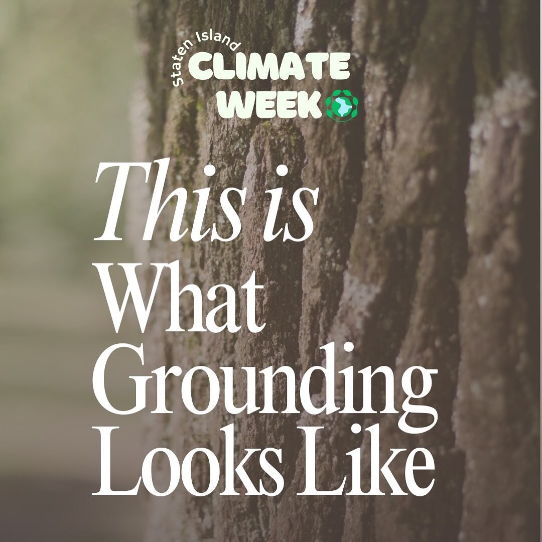 Yesterday, we unplugged and tuned in
joining @snugharborccbg, @shinrinyoku_united, and @forestbathnewyork for a restorative forest bathing + sound experience.

Here&rsquo;s what grounding really looked like: 
🌿 moss beds underfoot 
🚶&zwj;♀️ slow st