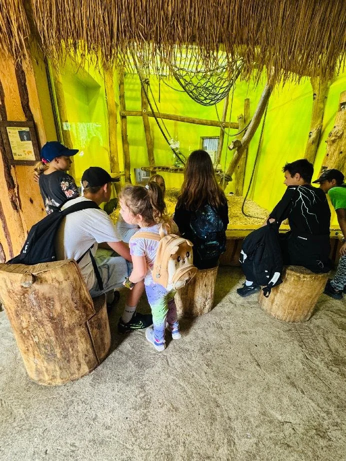 zoo4.jpg