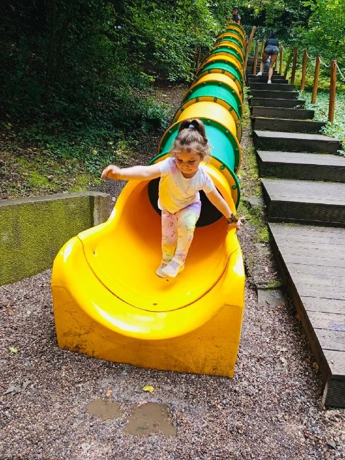zoo2.jpg
