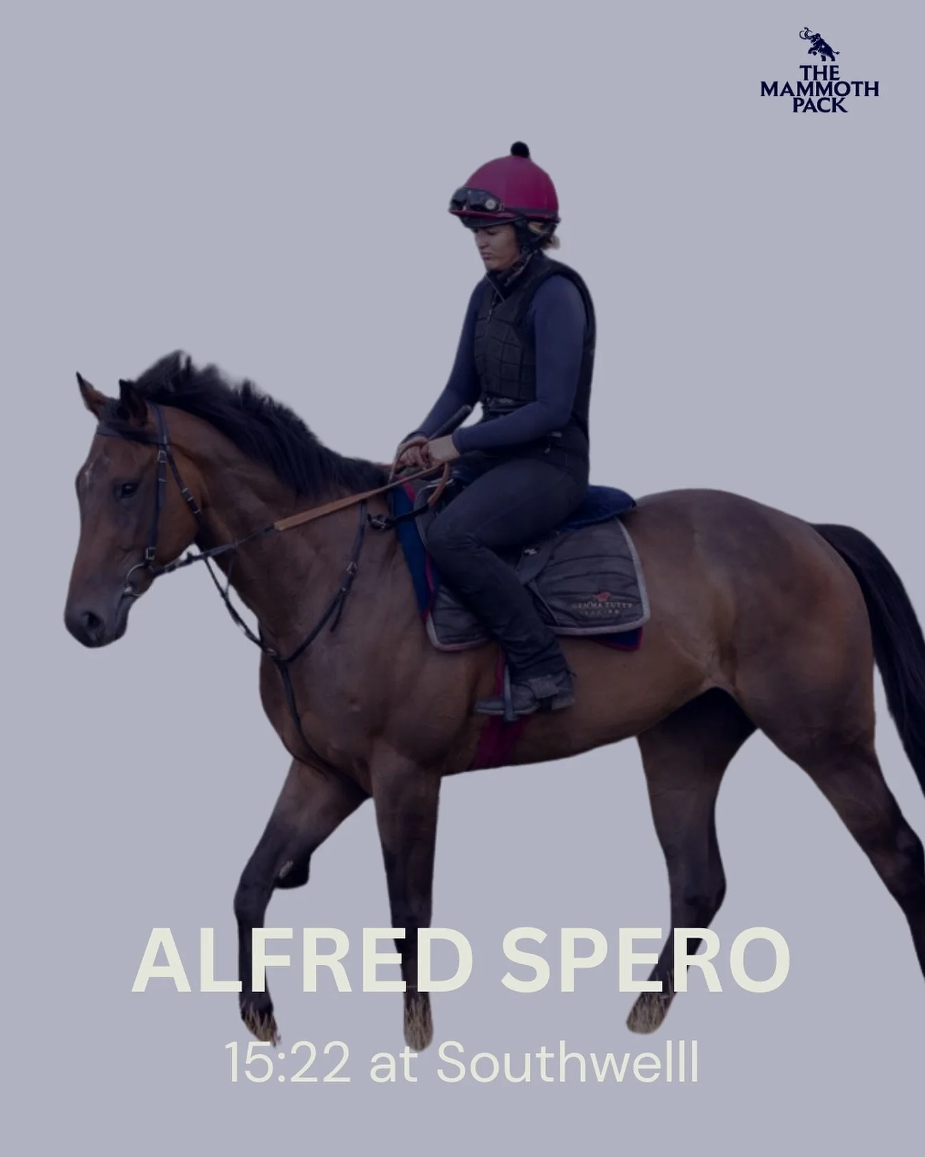 🚨Confirmed runner🐎
Alfred Spero runs at Southwell later today, his first run for The Mammoth Pack.
 #horseracing #racingsyndicate