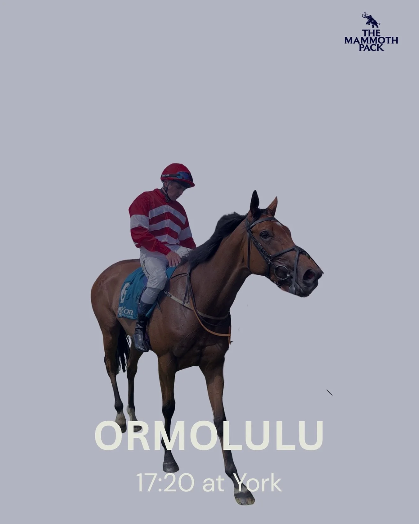 🚨Confirmed runner 🏇
Ormolulu runs at @yorkraces today in the huge £100k fillies’ handicap.
Drawn in stall nine for @rabhavlin1, we think she has a great chance to add the icing on the cake to what has already been a fantastic season f