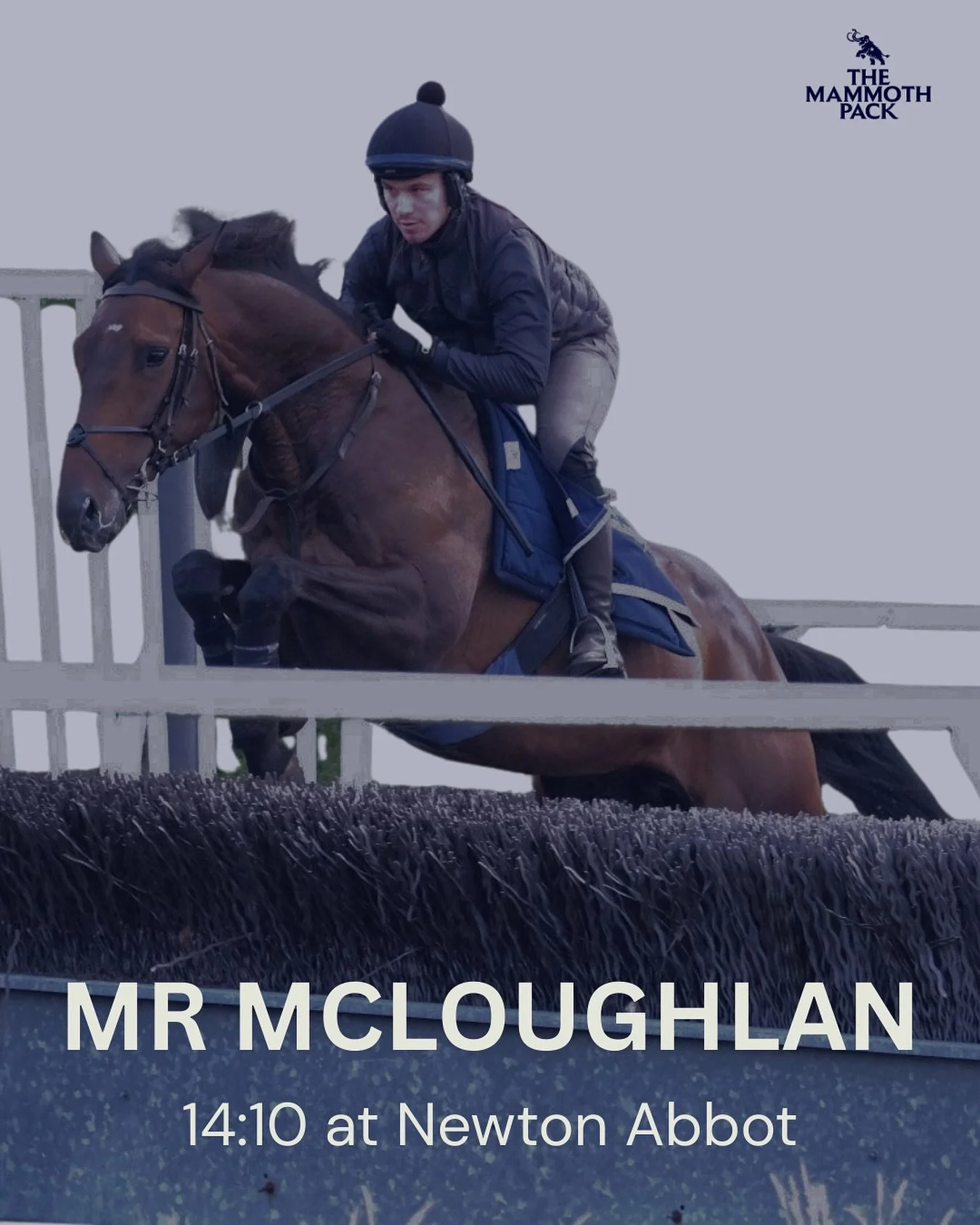 🚨Confirmed runner 🏇
Mr McLoughlan makes his hurdles debut for us today at Newton Abbot in what is a big day for The Mammoth Pack. 
He’s been schooling well at @jackjonesracing_  and we’re hopeful for a clean round and good run today.
