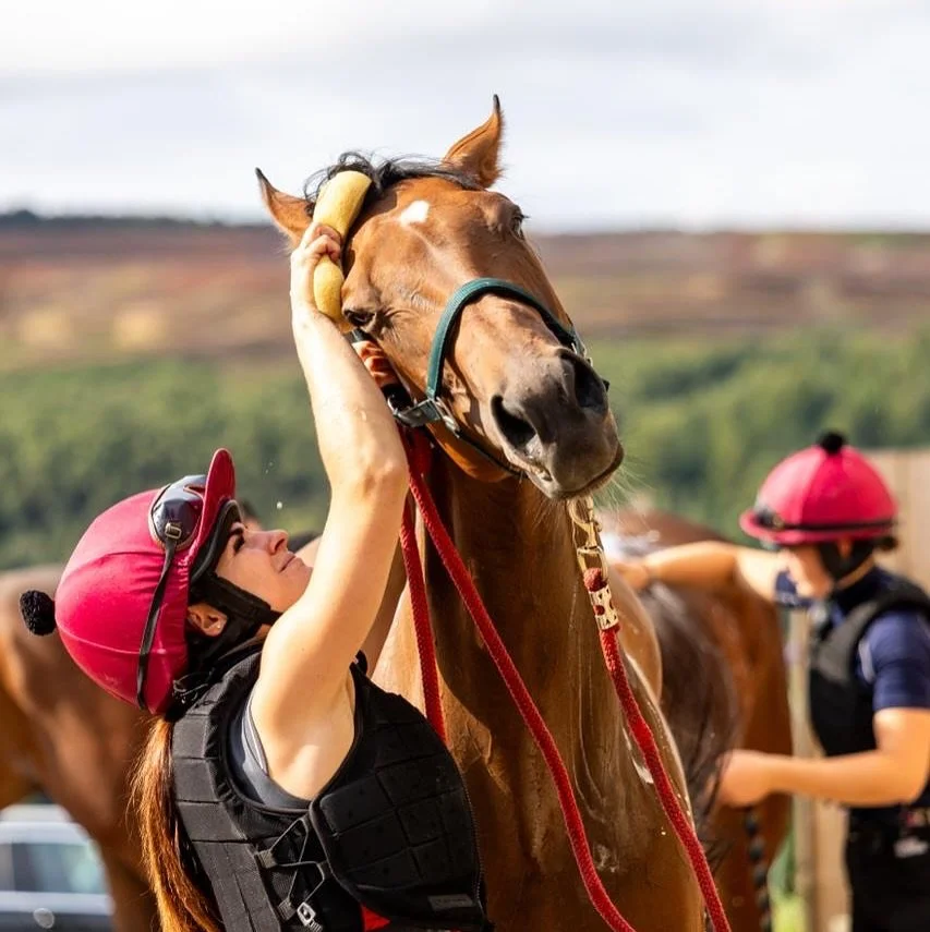 🚨One hour to go🚨
Good luck to all our Ormolulu owners today.
@gemmatuttyracing @rabhavlin1