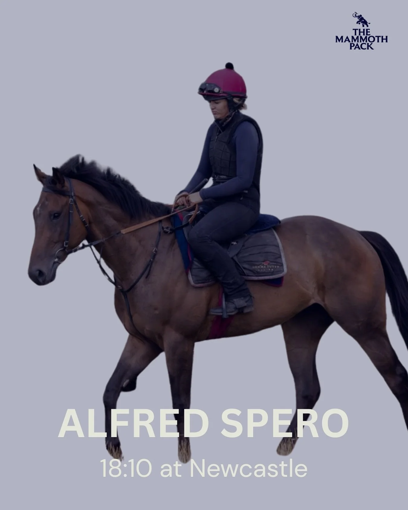 🚨Confirmed runner 🐎
Alfred Spero lines up at @newcastleracecourse later today in a strong race, his second run for us following his race at Southwell before.
#horseracing #racingsyndicate #flatracing @gemmatuttyracing