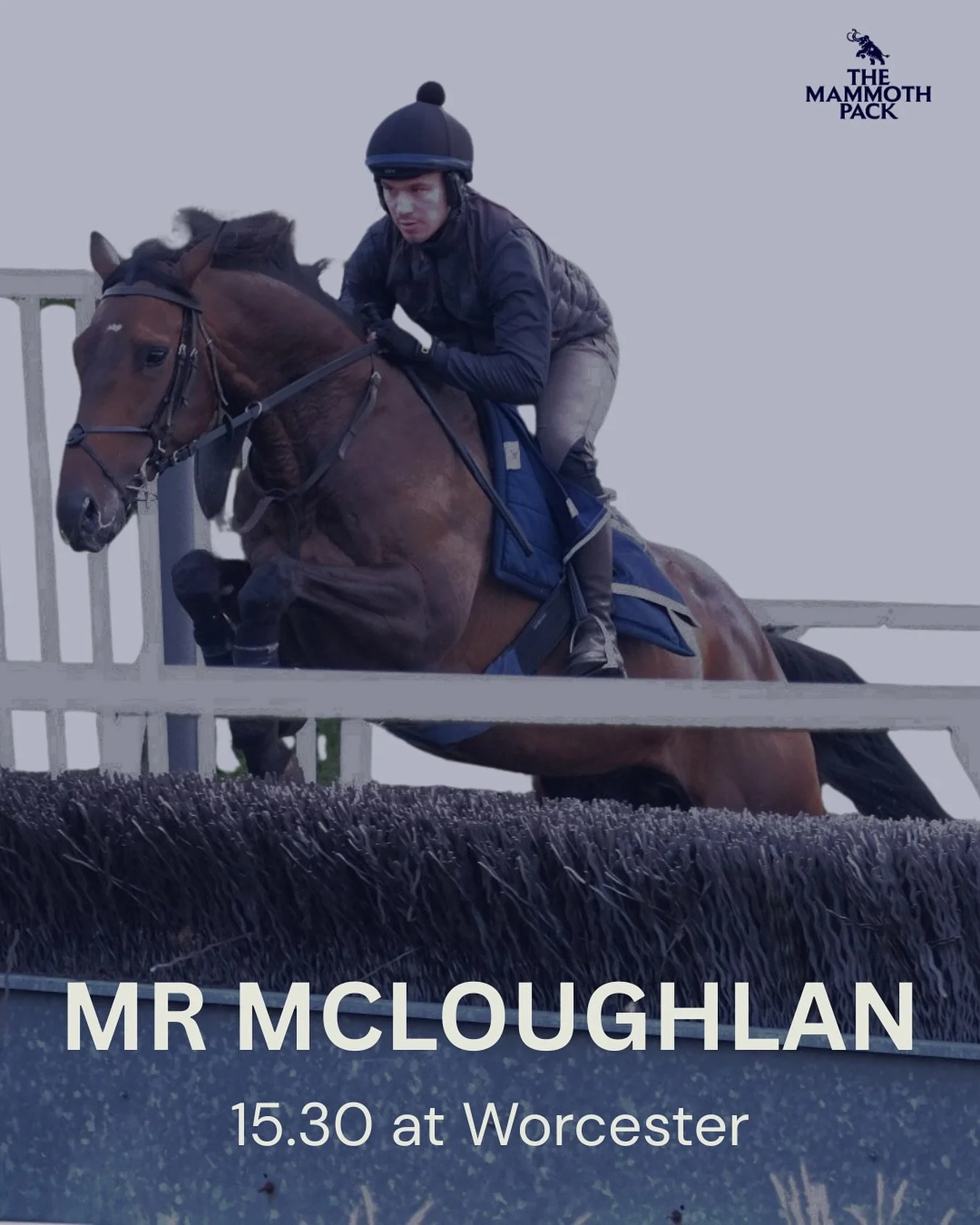 🚨Confirmed runner 🐎
Mr McLoughlan runs at @worcesterraces today and we’re excited to see him over hurdles again after a solid debut at Newton Abbot.
Fingers crossed for a clean round! @jackjonesracing_ #racingsyndicate #horseracing