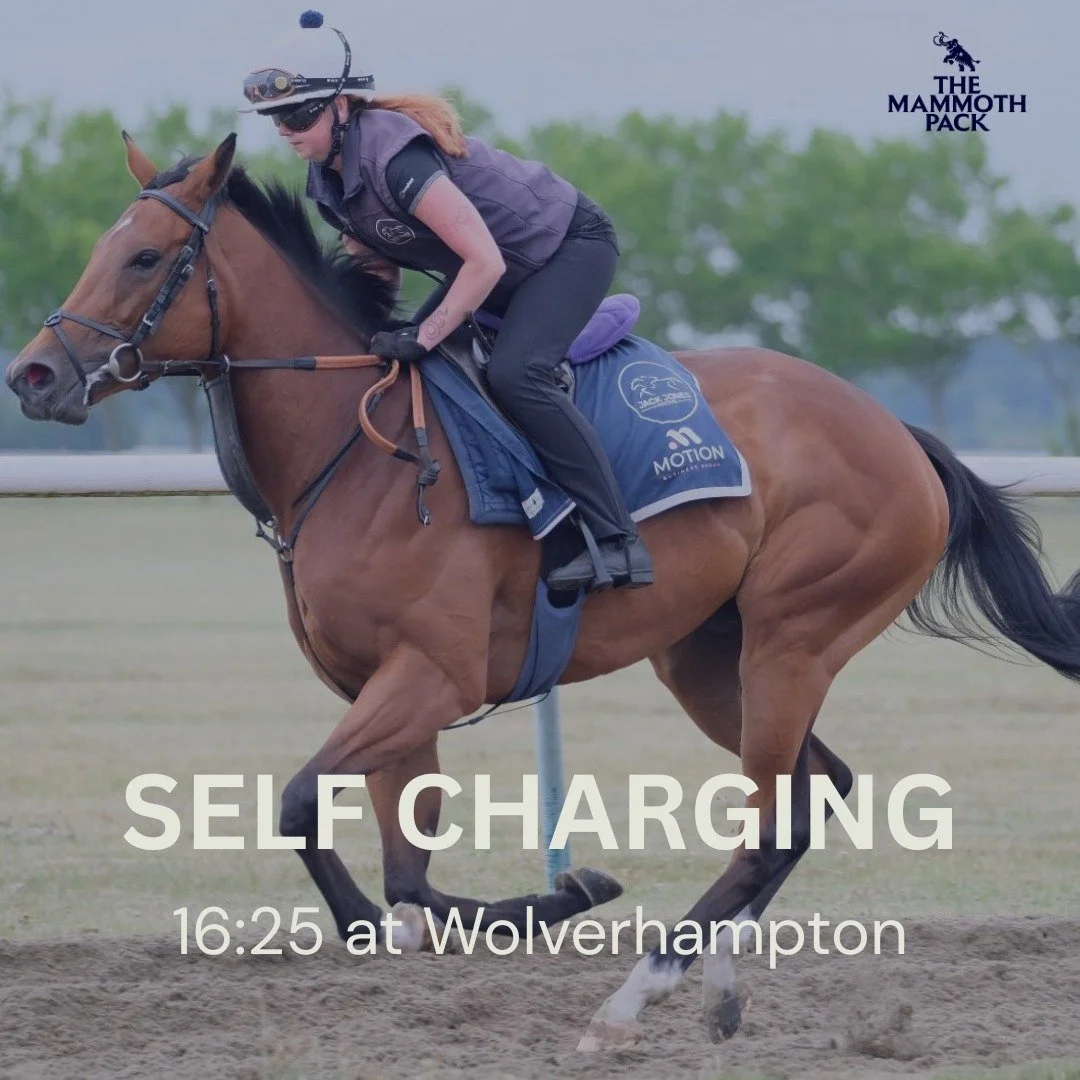 🚨Confirmed runner 🐎
Self Charging lines up at @wolvesraces today in cheekpieces for the first time.
We're hoping that might trigger an improvement for her. 
@JackJonesRacing
 #horseracing #flatracing #racingsyndicate