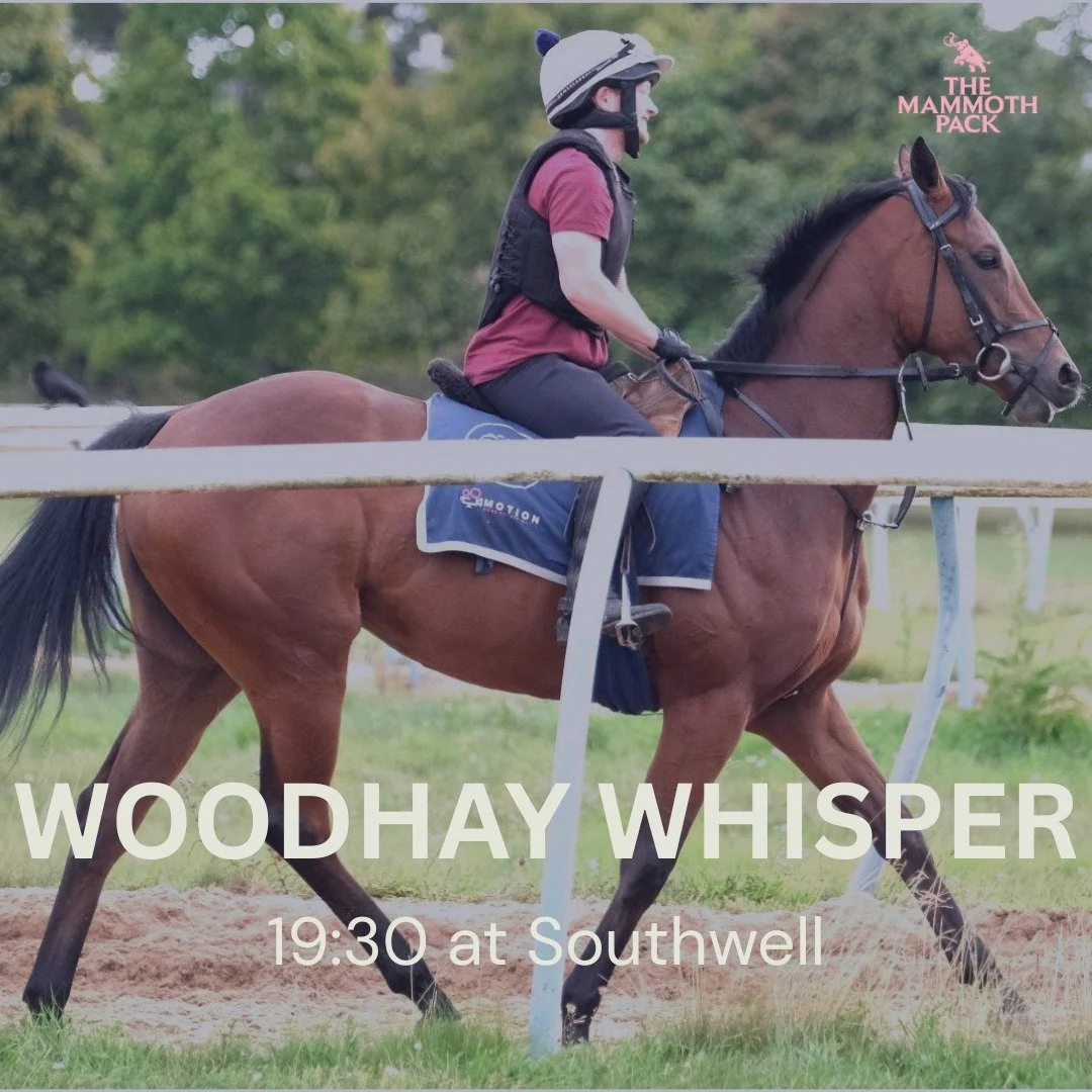 🚨Confirmed runner 🐎
Woodhay Whisper makes her debut for The Mammoth Pack and @jackjonesracing_ at @southwellracecourse this evening!
Excited to see this one as she starts her AW campaign.
#horseracing #racingsyndicate #flatracing #allweather