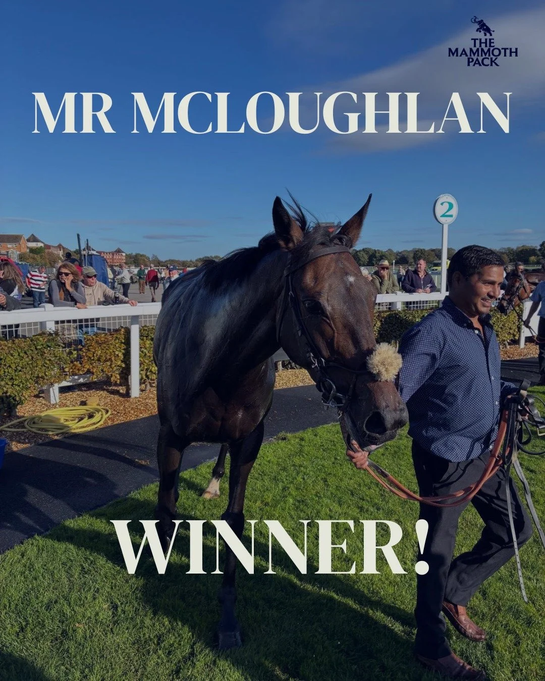 Mr McLoughlan! 🔥
What a performance that was! He improved again following his win at Worcester last month. 🚀
Congratulations to all our owners on a great result.
@jackjonesracing_ @stratfordracecourse
#racingsyndicate