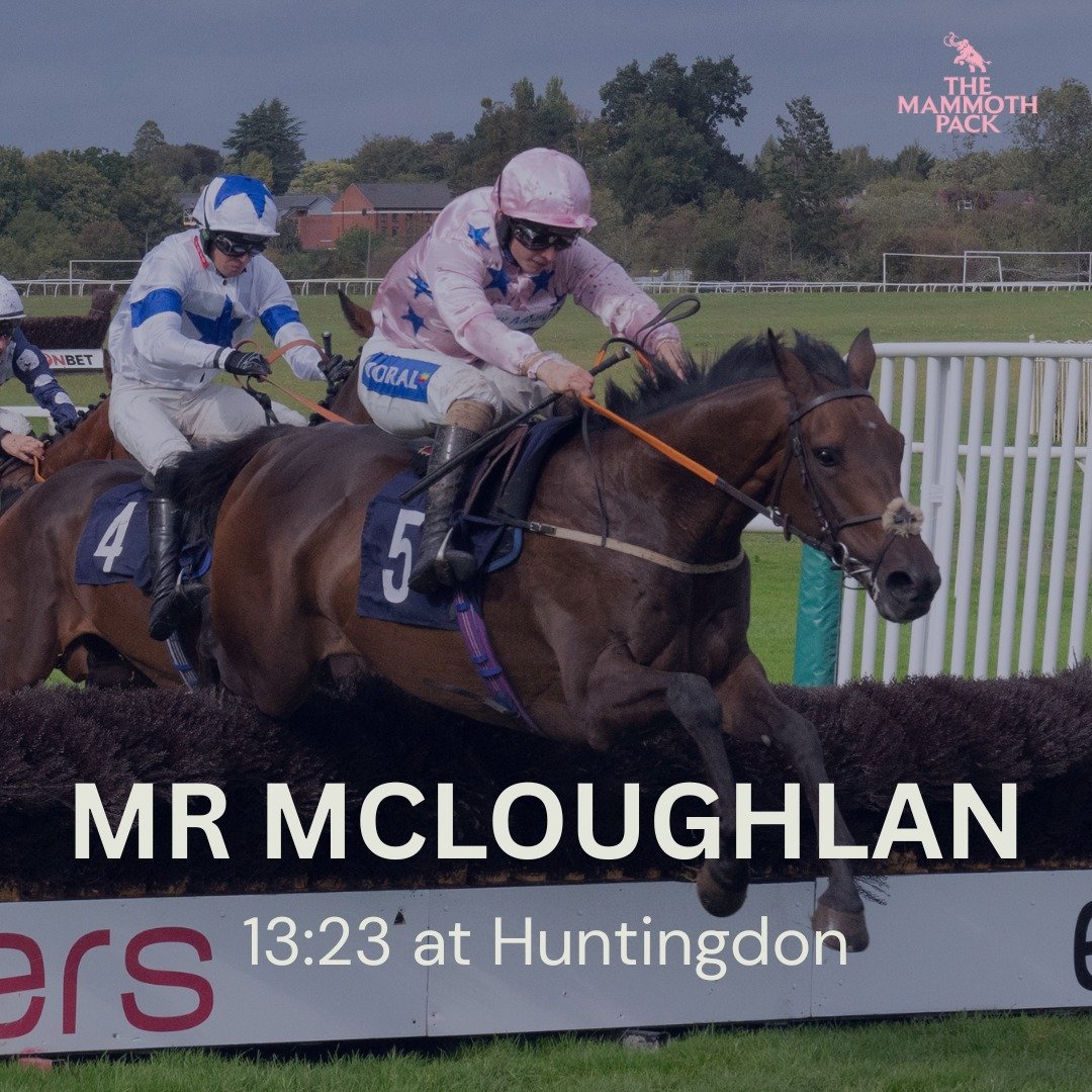 Our jumps star Mr McLoughlan is back out today making his handicap debut.

He had a short break after Cheltenham and then was bouncing when he returned to training. Fingers crossed for a big run returning to the race course.

@jackjonesracing_