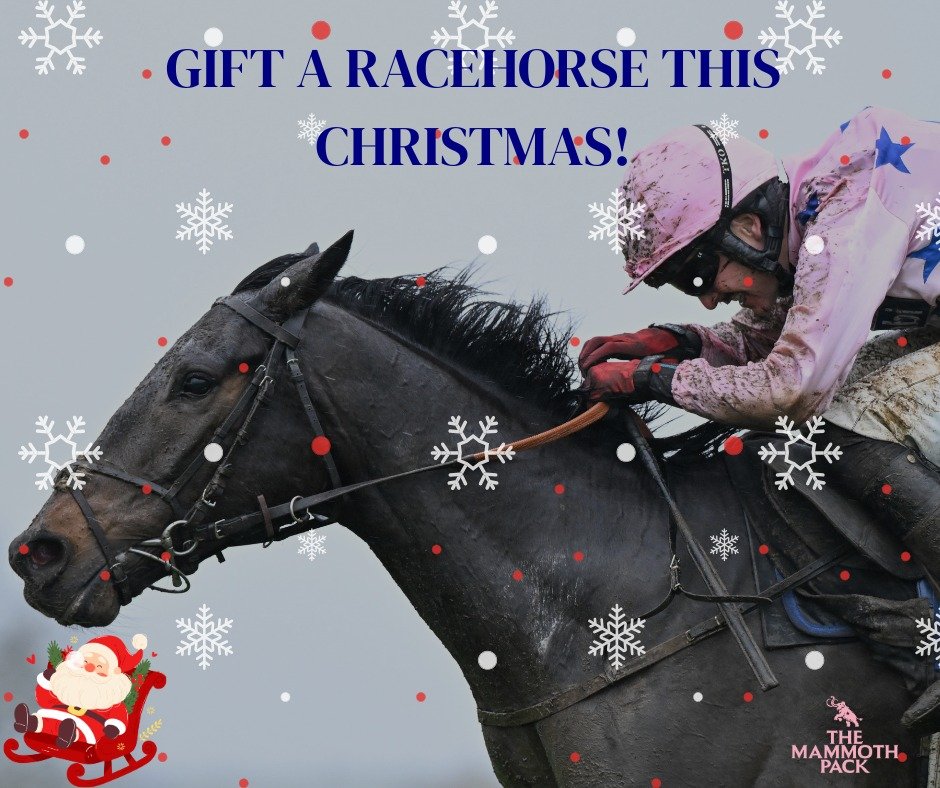 Still doing some last-minute Christmas shopping, and not sure what to get your racing-loving partner?

Why not gift the ultimate thrill in racing, owning a share in a racehorse. 

We have shares in horses available from 1% - DM us or go to our websit
