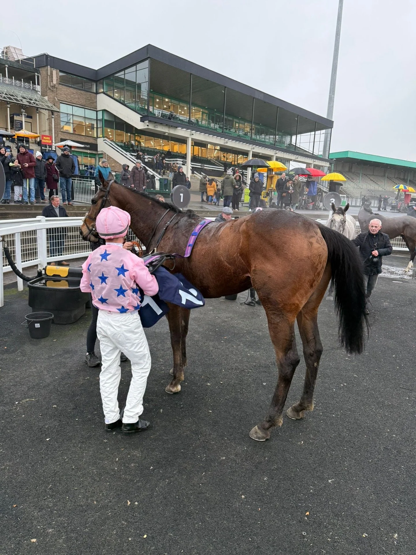 🥈2nd place for Alfred Spero at Newcastle today. Bumped in to one.

Improving every run 🙏

@gemmatuttyracing