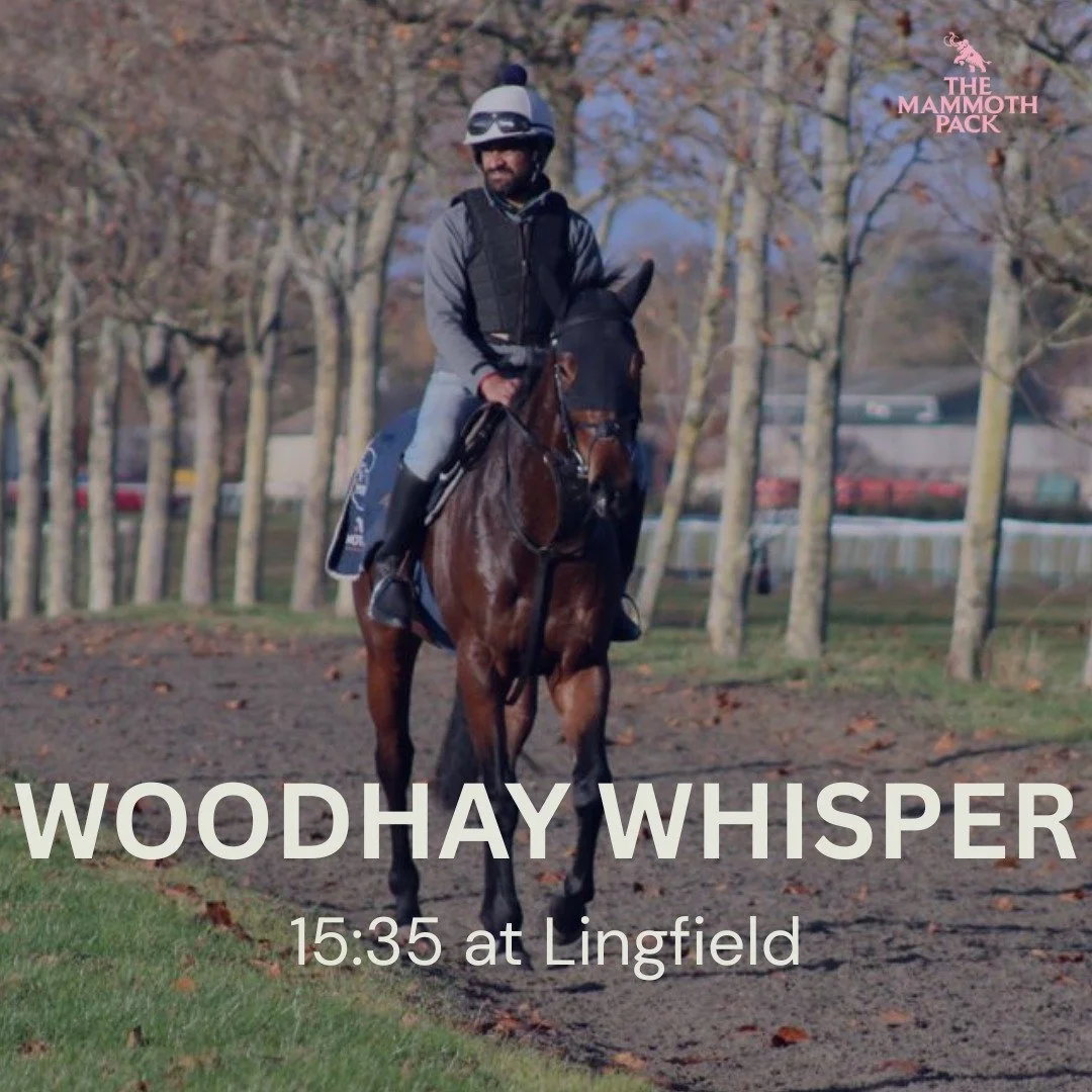 Woodhay Whisper is back in all-weather action today, looking to improve on a strong 3rd place finish last time out.

@jackjonesracing_