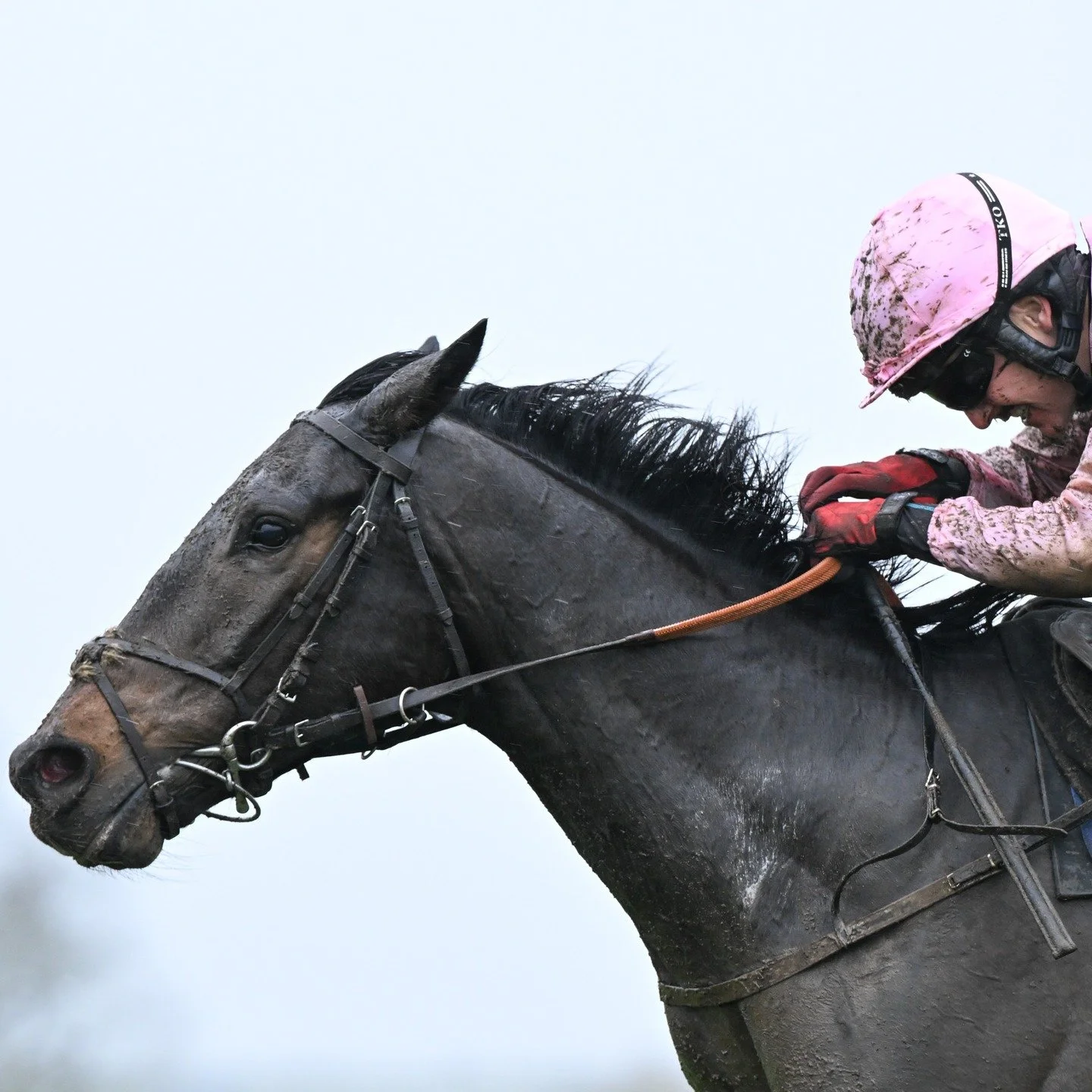 📸 2025 in pictures

@jackjonesracing_ @gemmatuttyracing