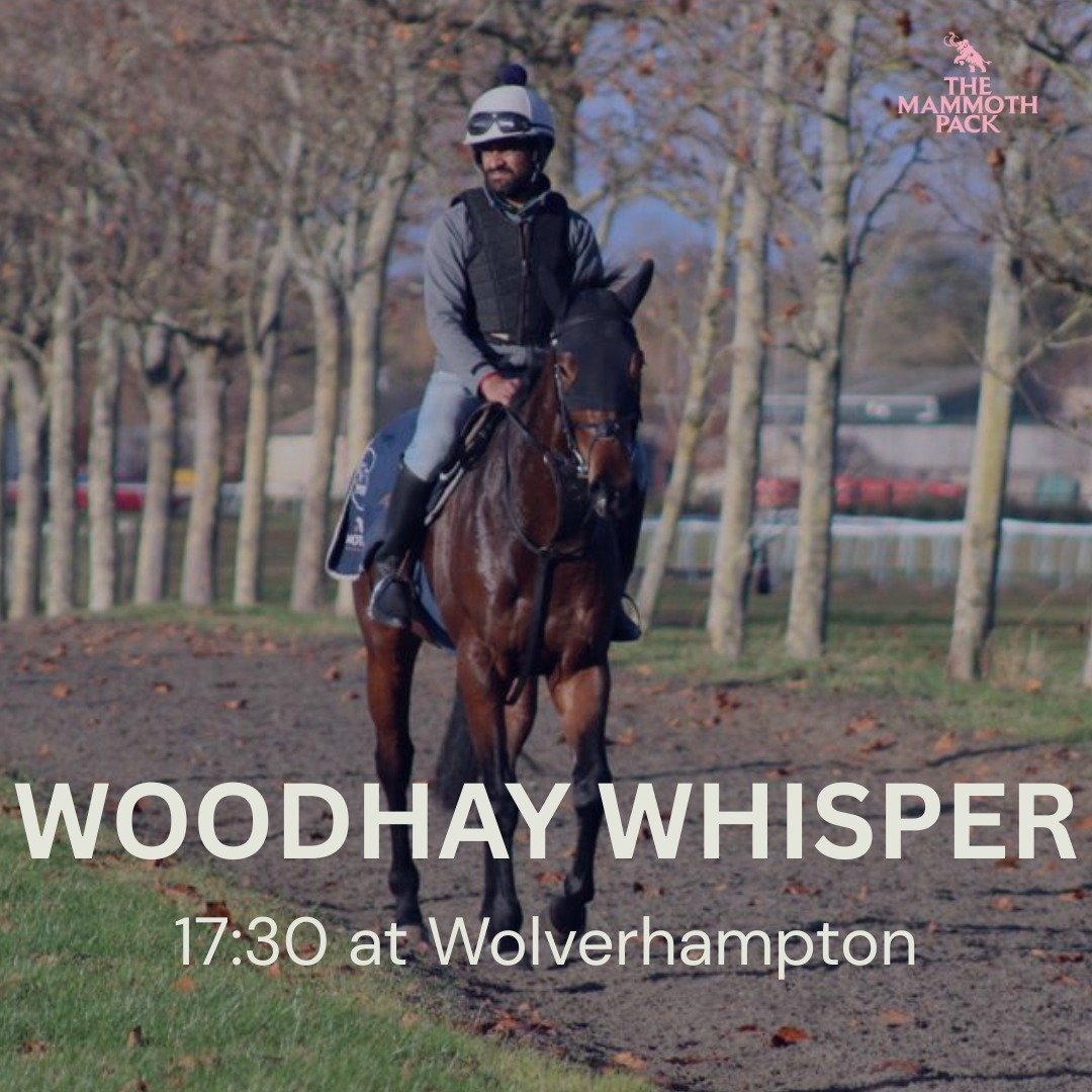 Woodhay Whisper is back in action today at Wolverhampton.

Fingers crossed for a big run today.

@jackjonesracing_