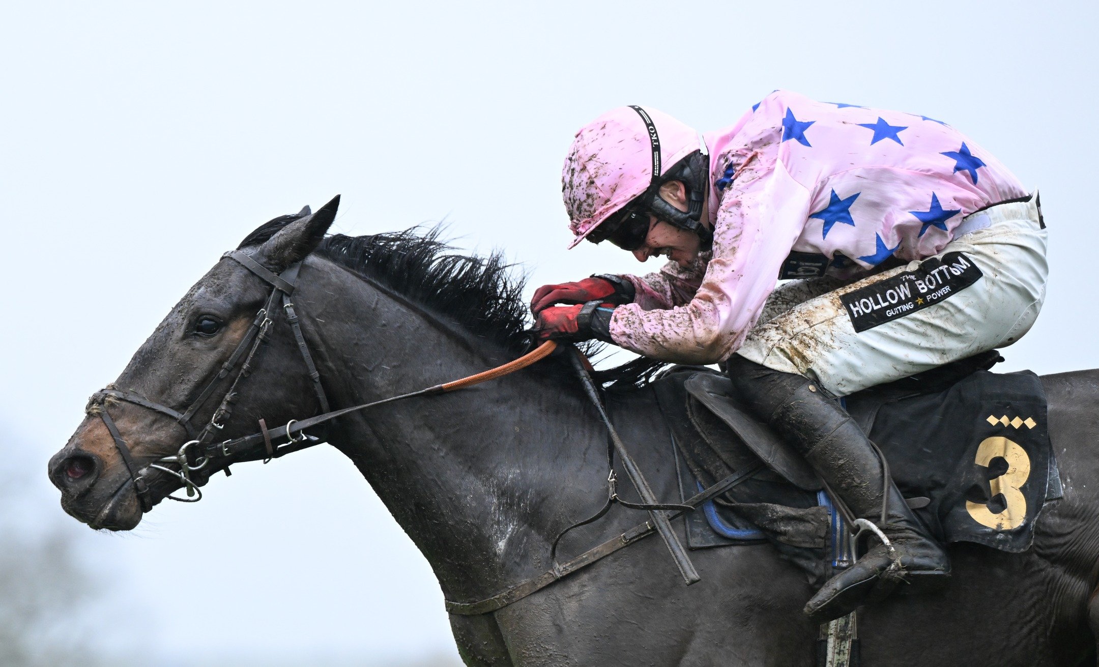 Mr McLoughlan has been declared for 19.30 at Southwell tomorrow, drawn stall 3.

After a lot of noise this week, we're excited to line up against some great horses tomorrow.