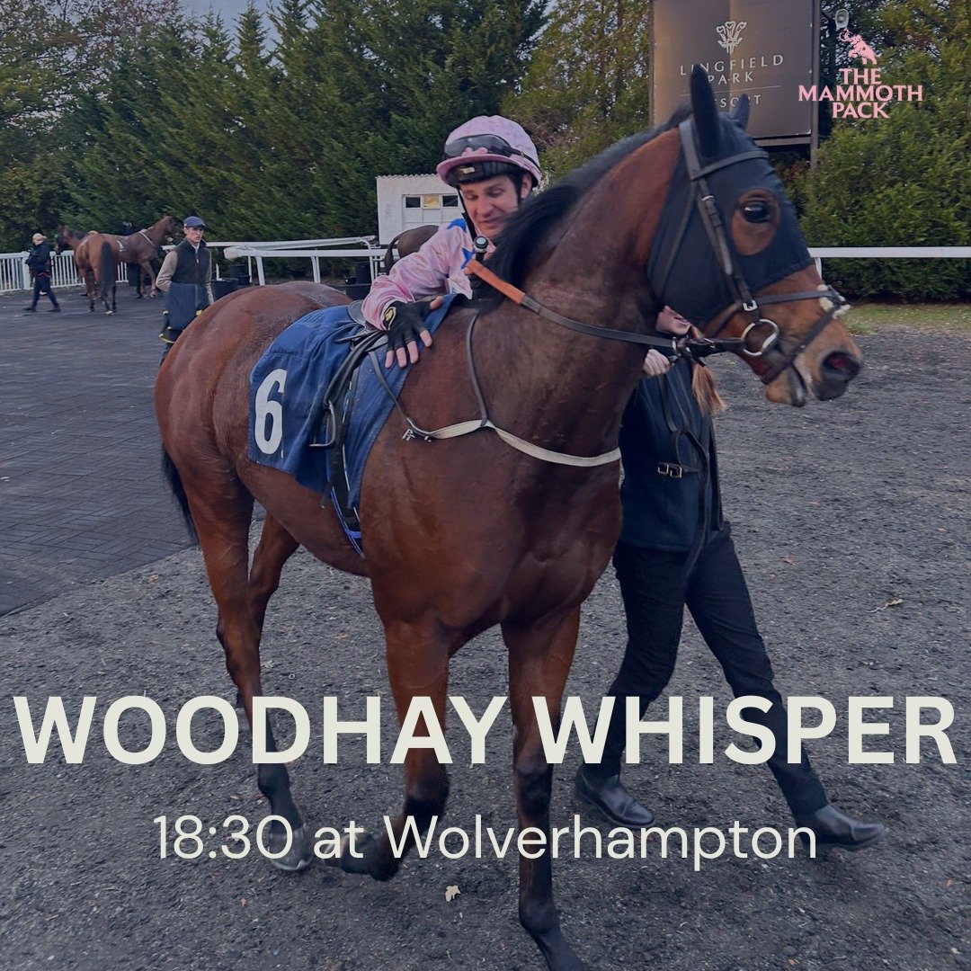 Woodhay Whisper is back at Wolverhampton this evening, looking to return to winning ways at a track she's won at before. 

She's had a great AW campaign so far, and let's hope she can continue her form in to March and land us in a good spot for the b