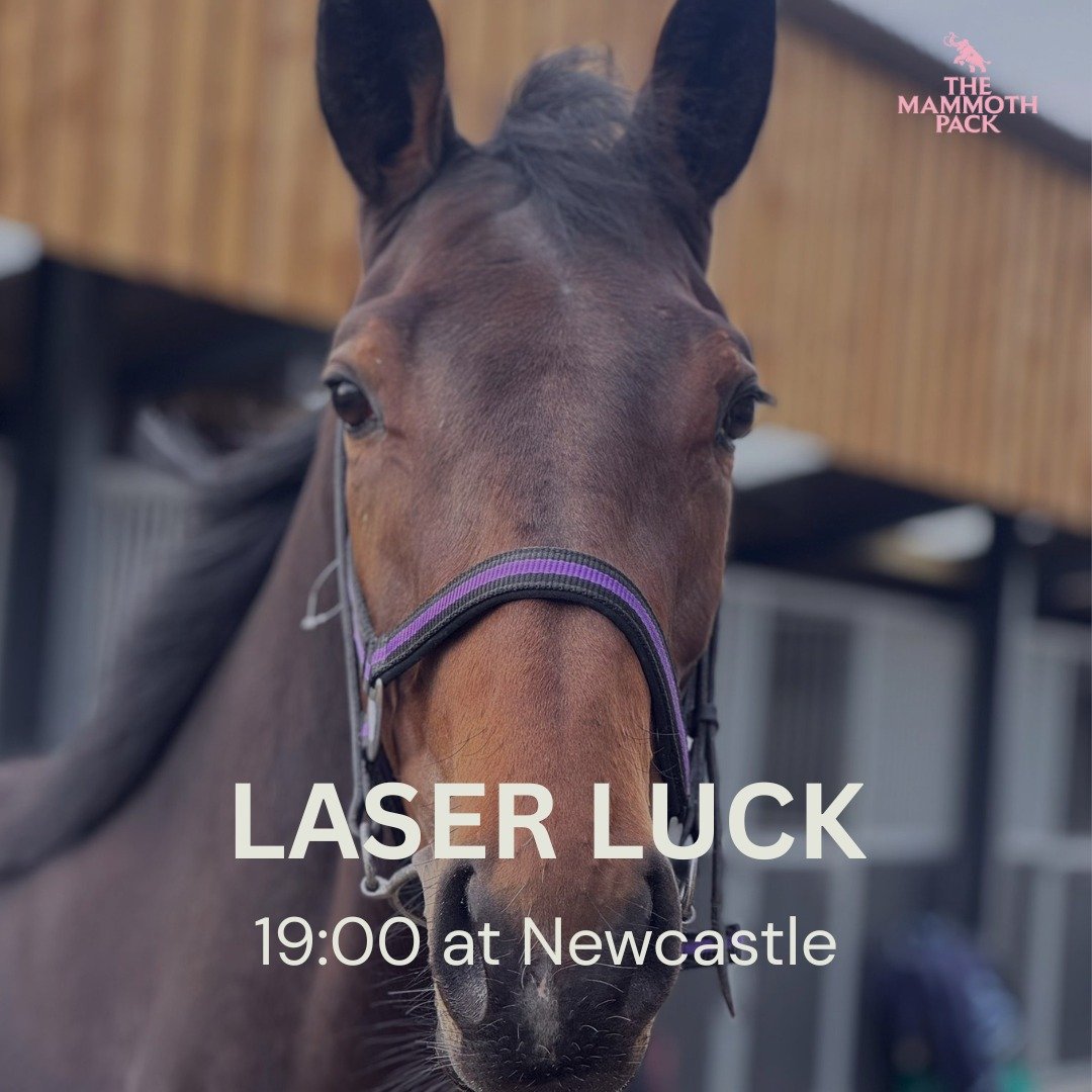 Laser Luck runs at Newcastle today, hoping a step up to 7f brings some improvement.

Fingers crossed for Lucky today.

@gemmatuttyracing