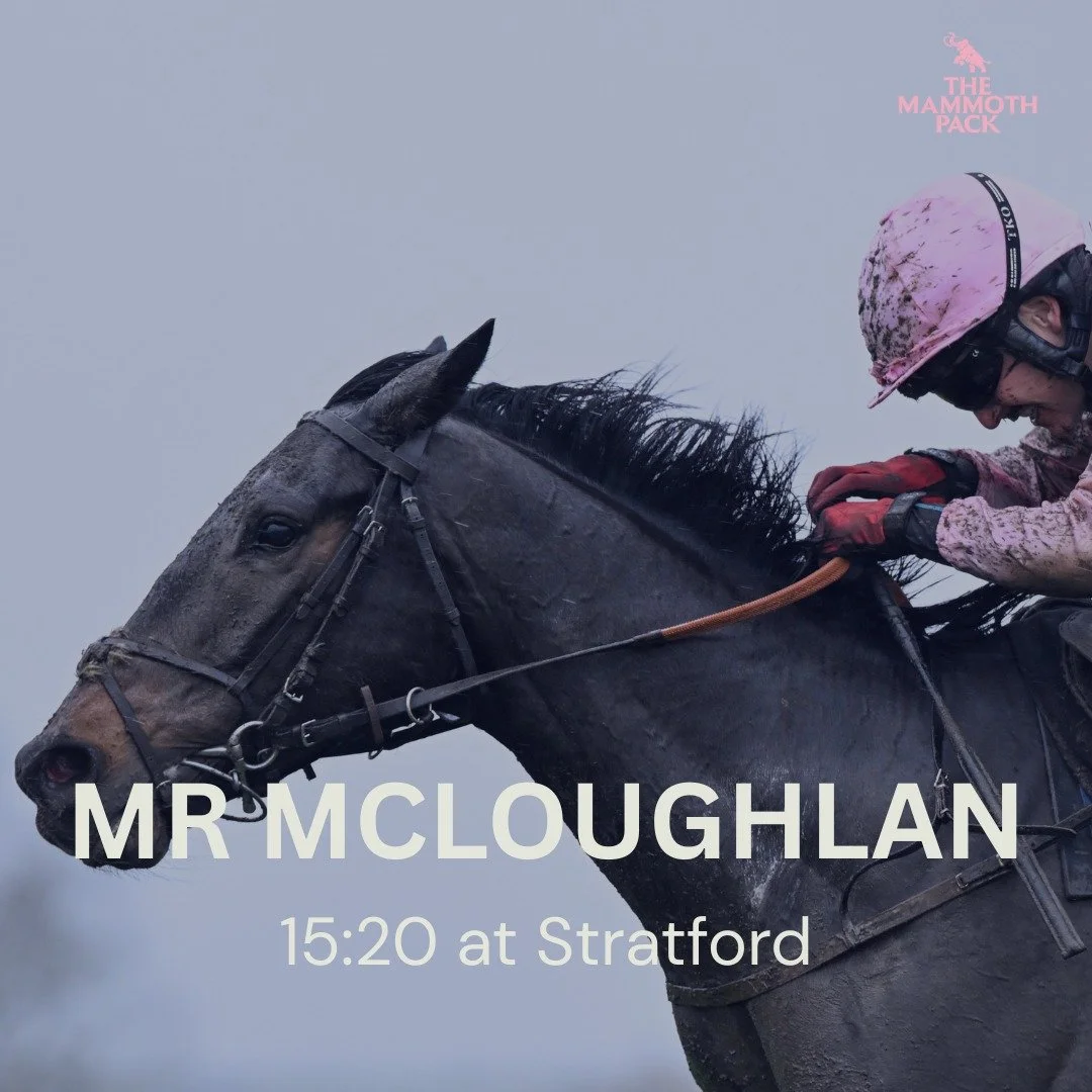 After the ground went against Mr McLoughlan on Saturday in the Imperial Cup, we've opted to go to Stratford in a competitive handicap today.

He's in fine form and we hope he can follow up his good performance on the flat last time out.

@jackjonesra