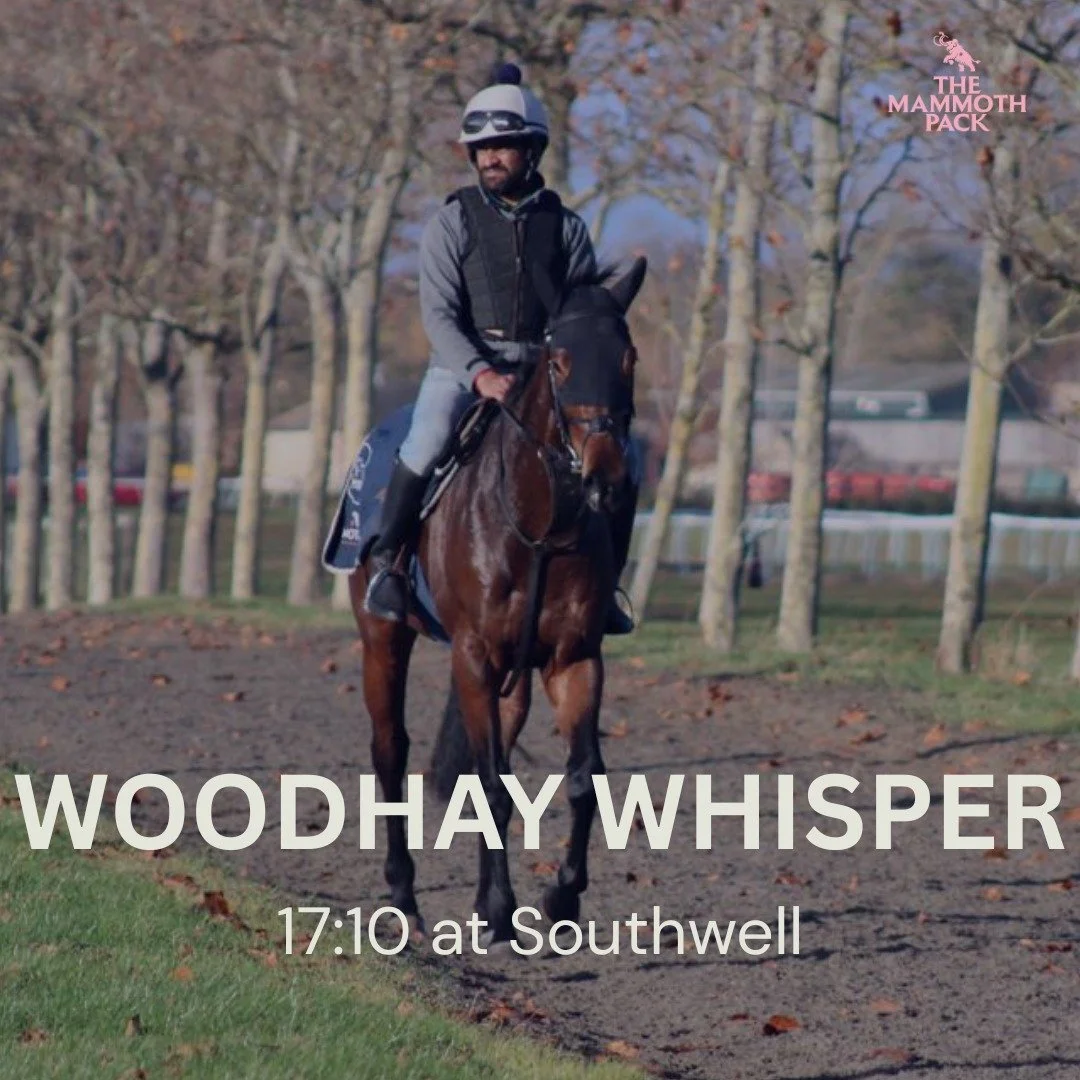 Woodhay Whisper heads to Southwell on her penultimate run in the AW championship.

Fingers crossed for a good run today at @southwellracecourse.

@jackjonesracing_