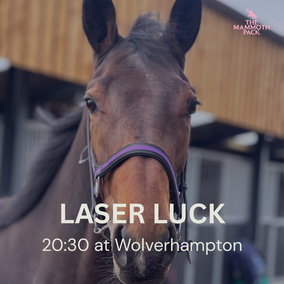Laser Luck runs at Wolverhampton tonight, stepping up to 1m 1/2f off a mark of 54. 

We're hopeful the step up in trip today sees some improvement from her previous runs.

@gemmatuttyracing