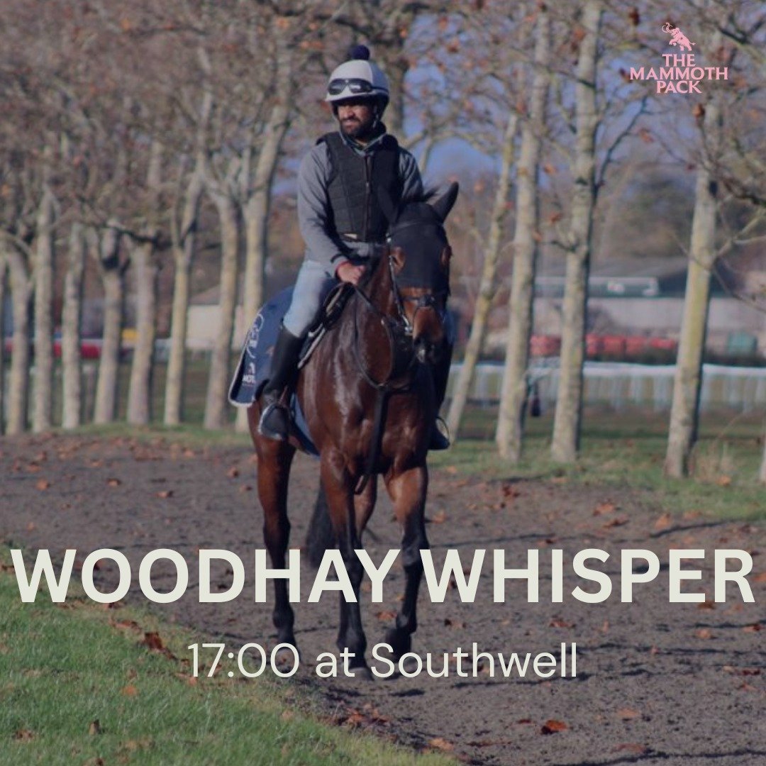 Woodhay Whisper completes her All Weather campaign today at @southwellracecourse. 

She's been an excellent purchase for us and kept our owners very entertained through the winter.

Fingers crossed she can finish well and get us a few spots higher in