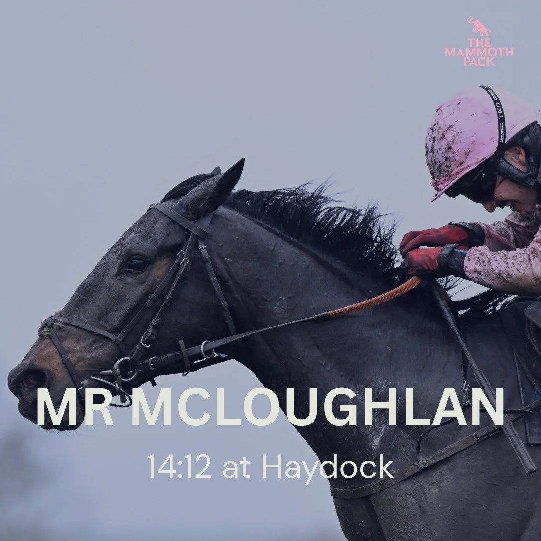 Mr McLoughlan heads to @haydockparkracecourse today for the @pertempsnetworkgroup two-mile handicap hurdle series final.

We've been patient with him this winter and anticipate an improvement for better ground this spring. We're hopeful of a big run 