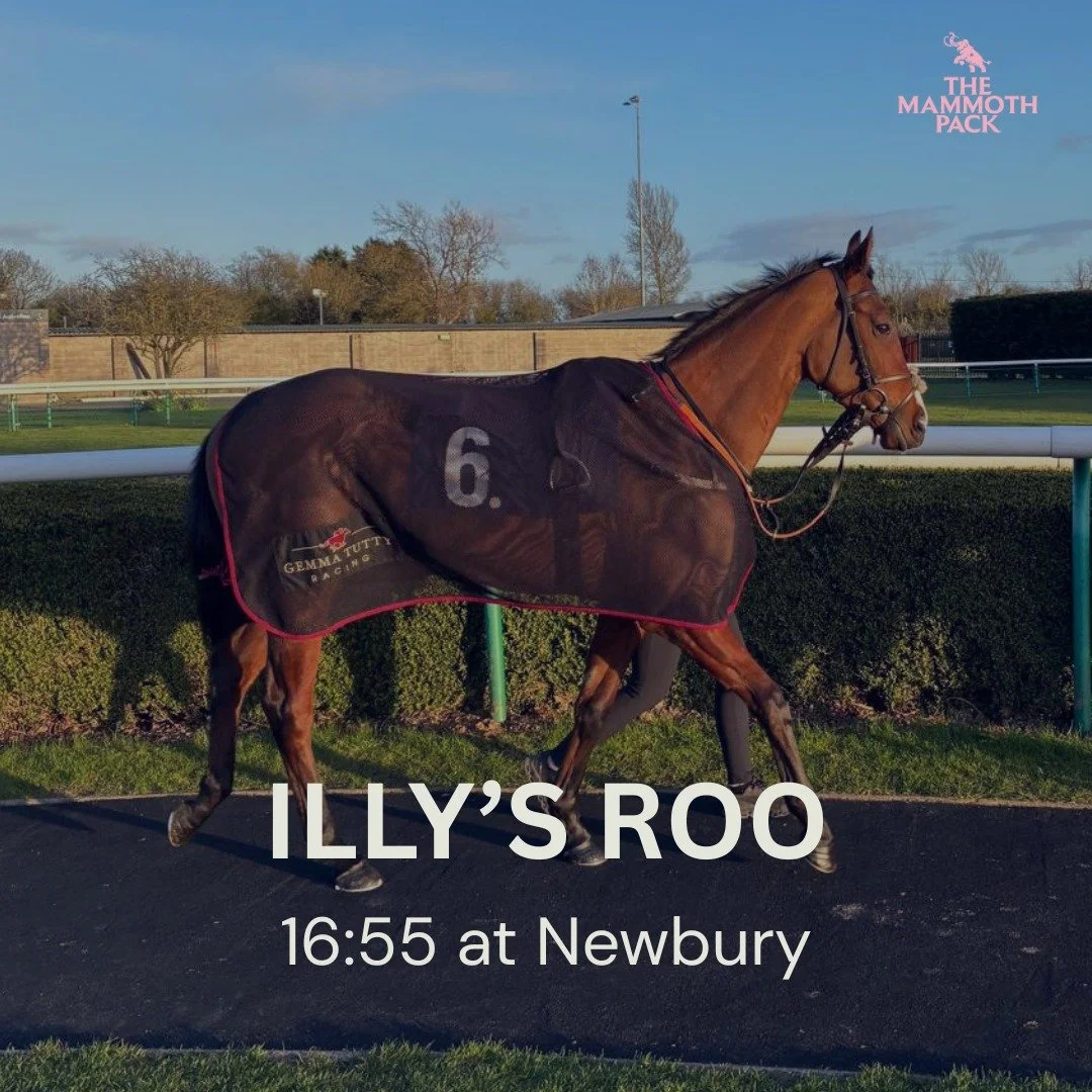 Illy's Roo steps up in class today at 
@newburyracecourse where he takes his chance in a hot 7f handicap.

He's been excellent for us so far with🥇 &amp; 🥉 in two runs, and we're hopeful of a strong run today.

@gemmatuttyracing