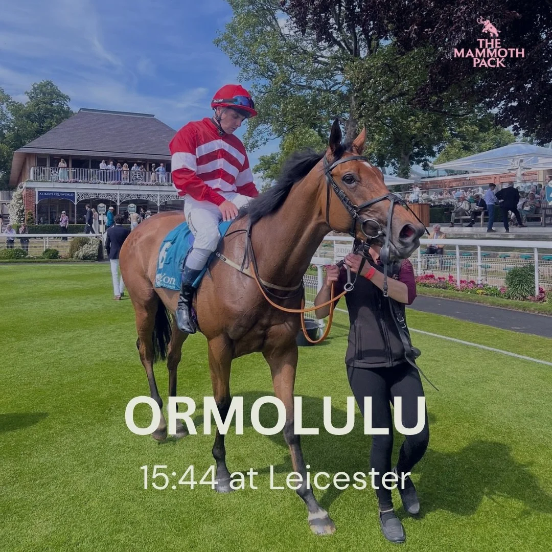 Ormululu makes her reappearance today @leicesterraces.

Very excited to have her back on the track and hoping for a good run today.

 @gemmatuttyracing