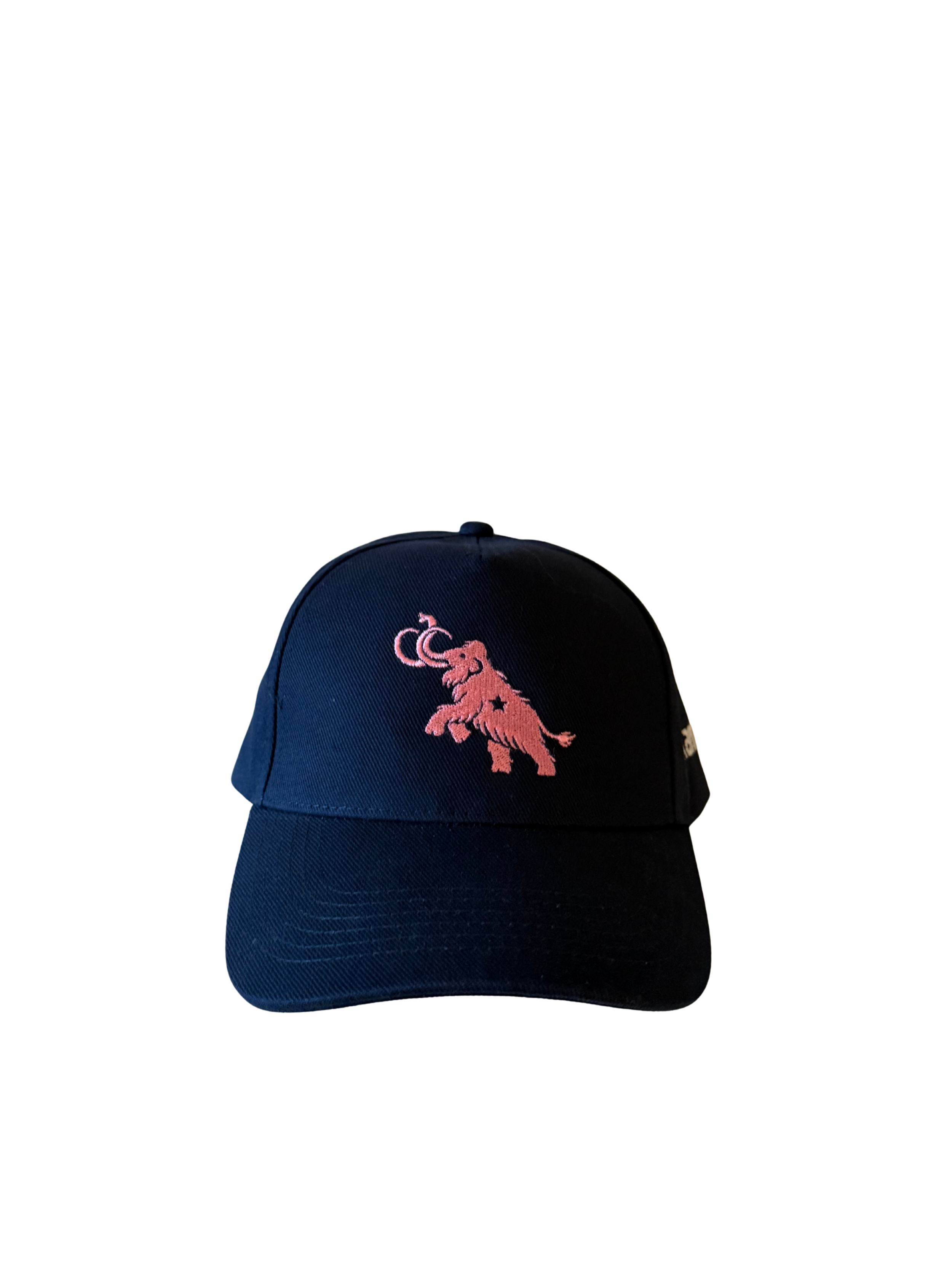 The Mammoth Pack Cap