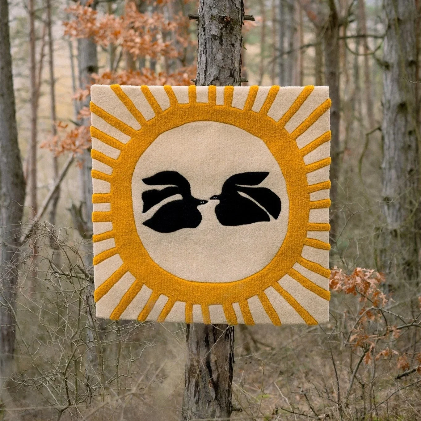 Two Birds Under the Solstice Sun