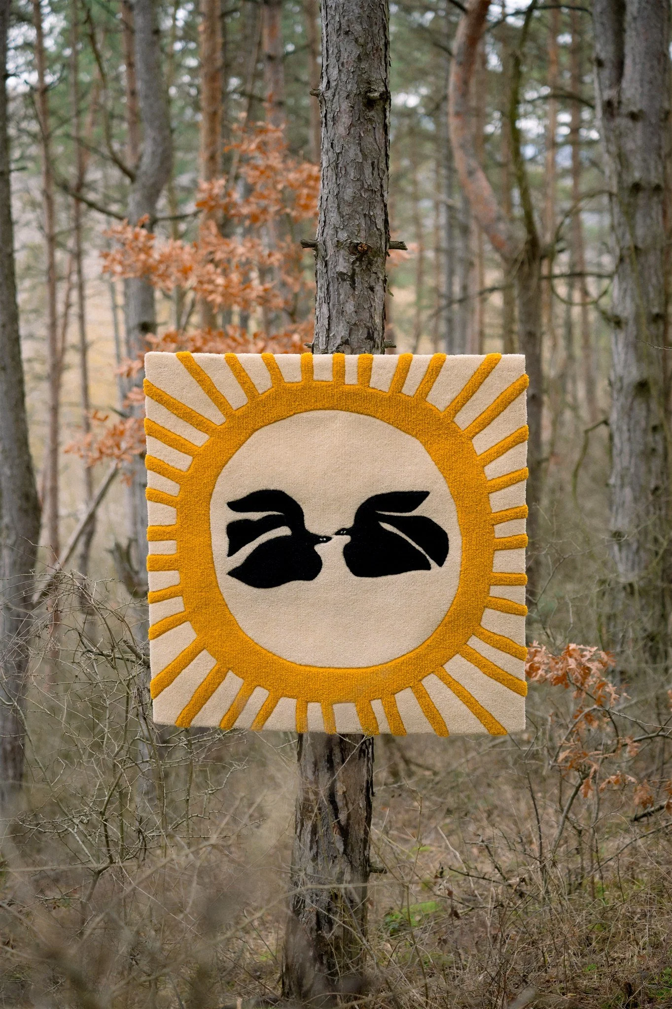 Two Birds Under the Solstice Sun