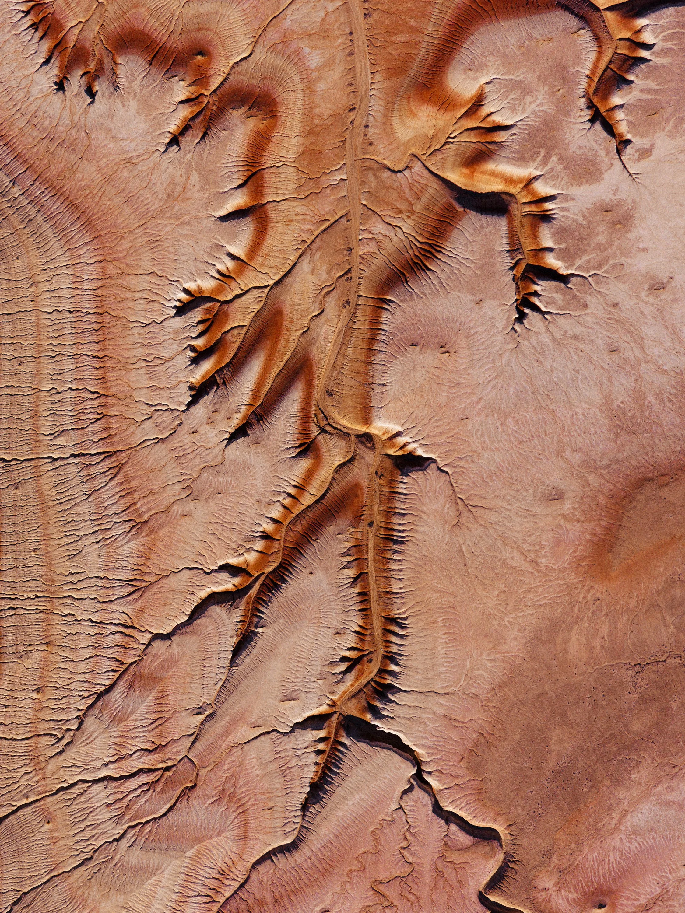 Veins of Earth Portrait.jpg