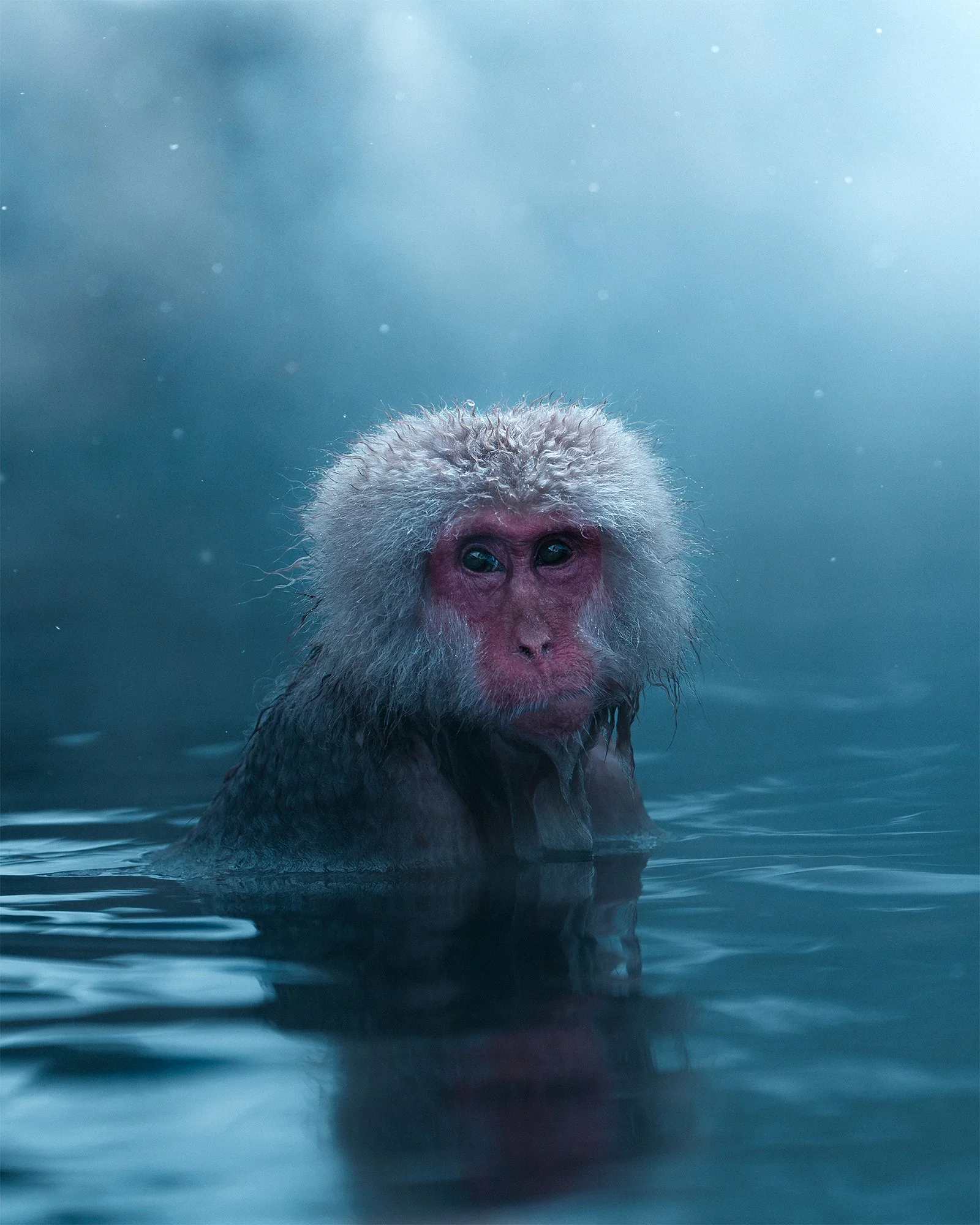 Winter Awards 1f.jpg